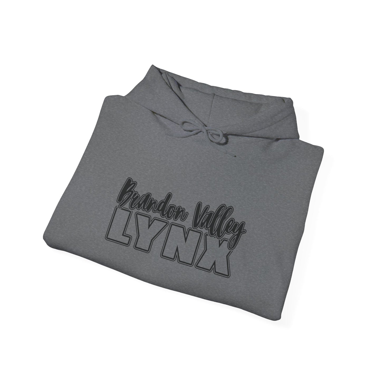 BV Unisex Heavy Blend™ Hooded Sweatshirt