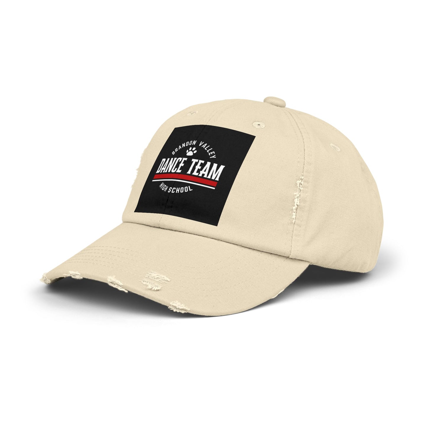 BV Dance - Unisex Distressed Cap