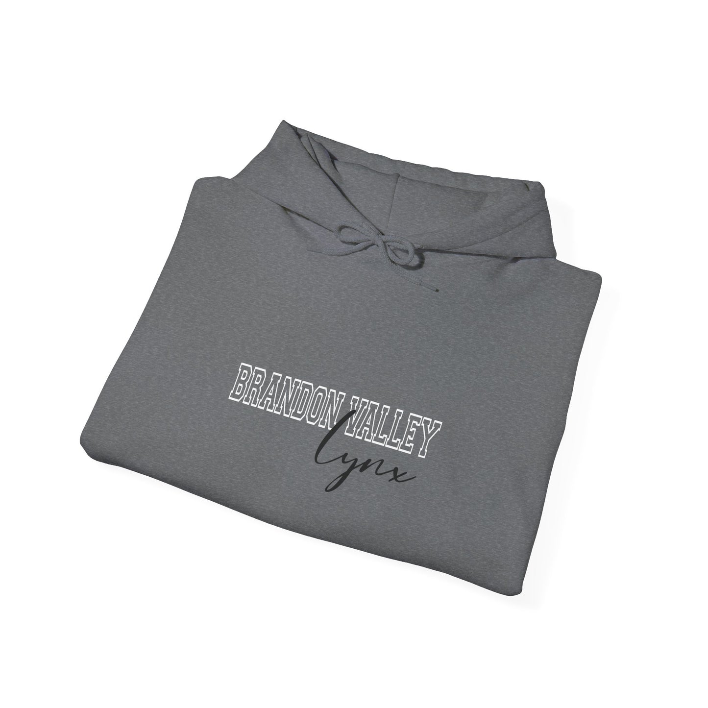 BV unisex Heavy Blend™ Hooded Sweatshirt