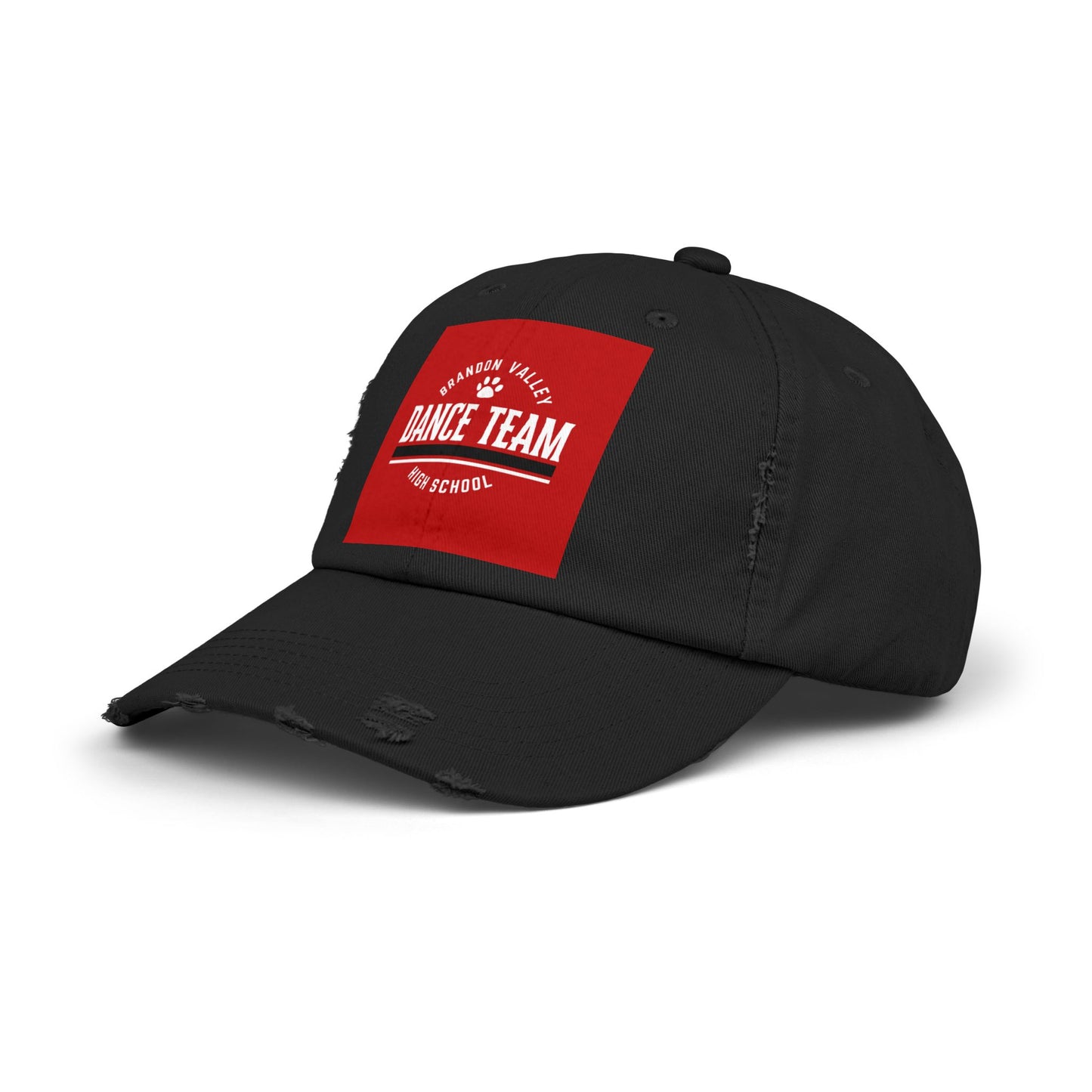 BV Dance - Unisex Distressed Cap