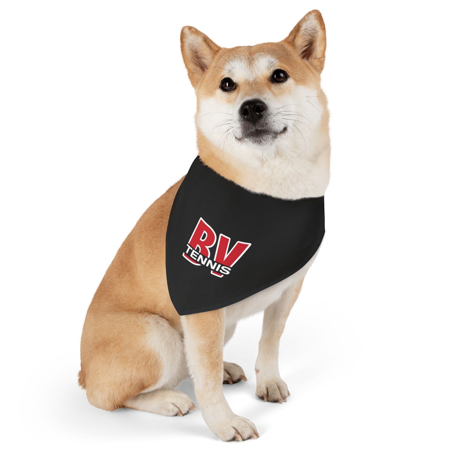 BV Tennis 1 - Pet Bandana Collar