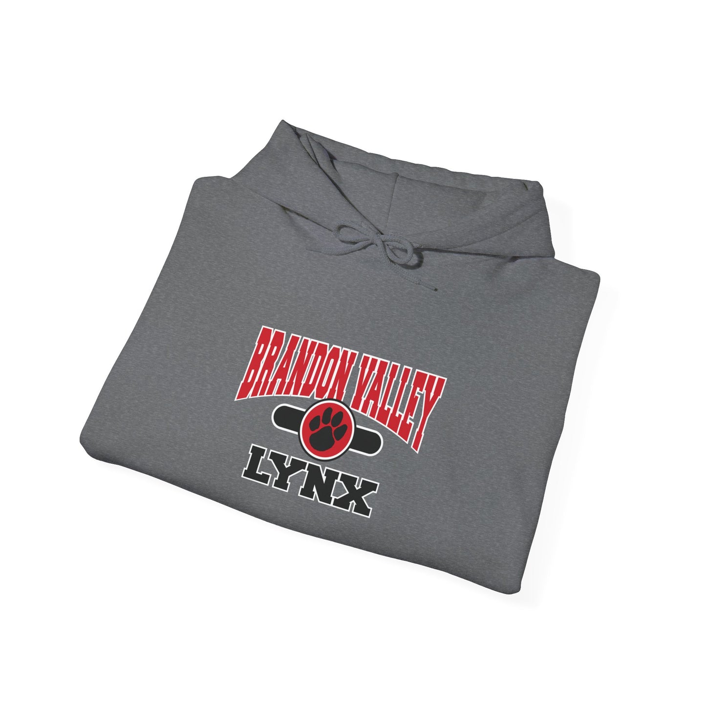 BV Unisex Heavy Blend™ Hooded Sweatshirt
