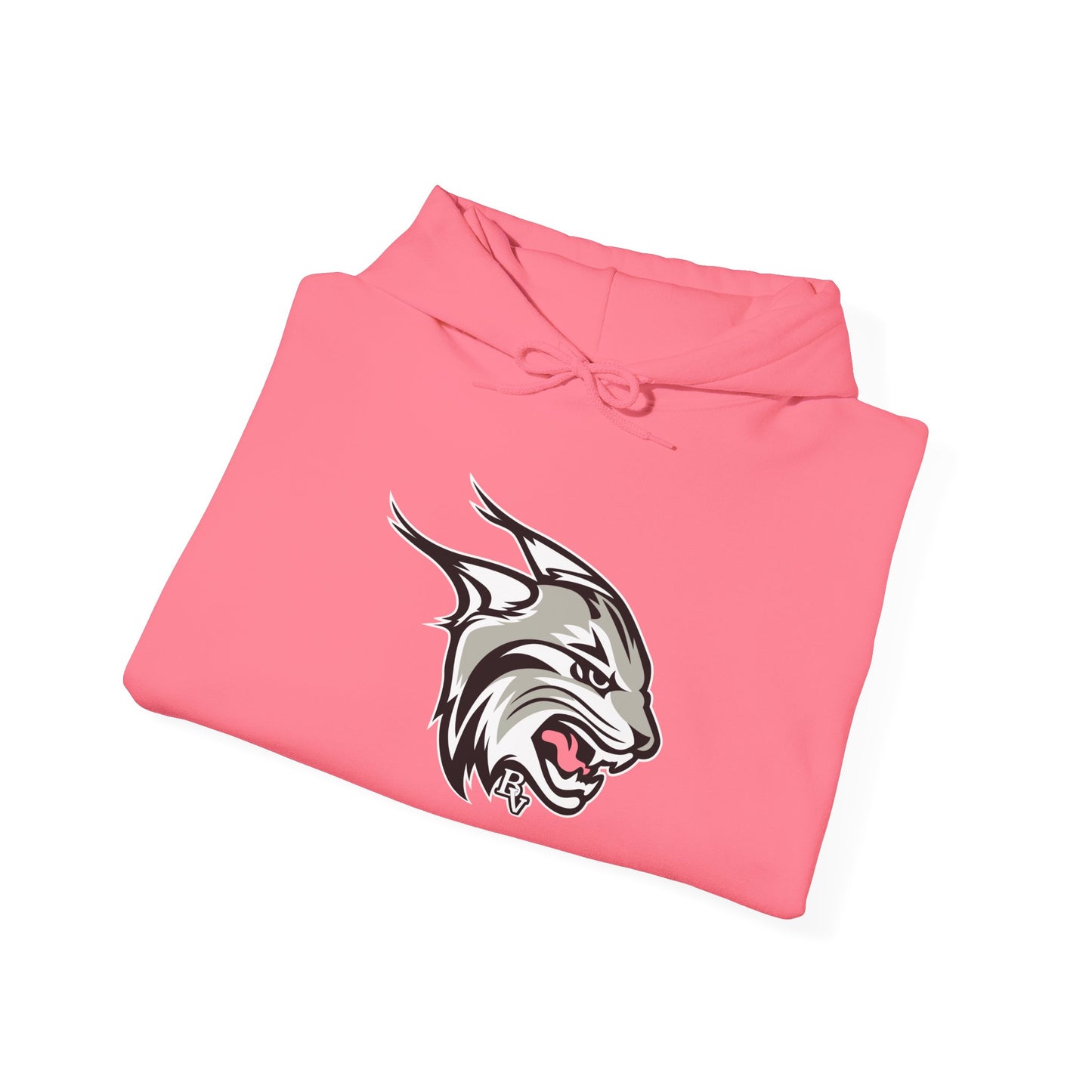 BV Lynx Unisex Heavy Blend™ Hooded Sweatshirt