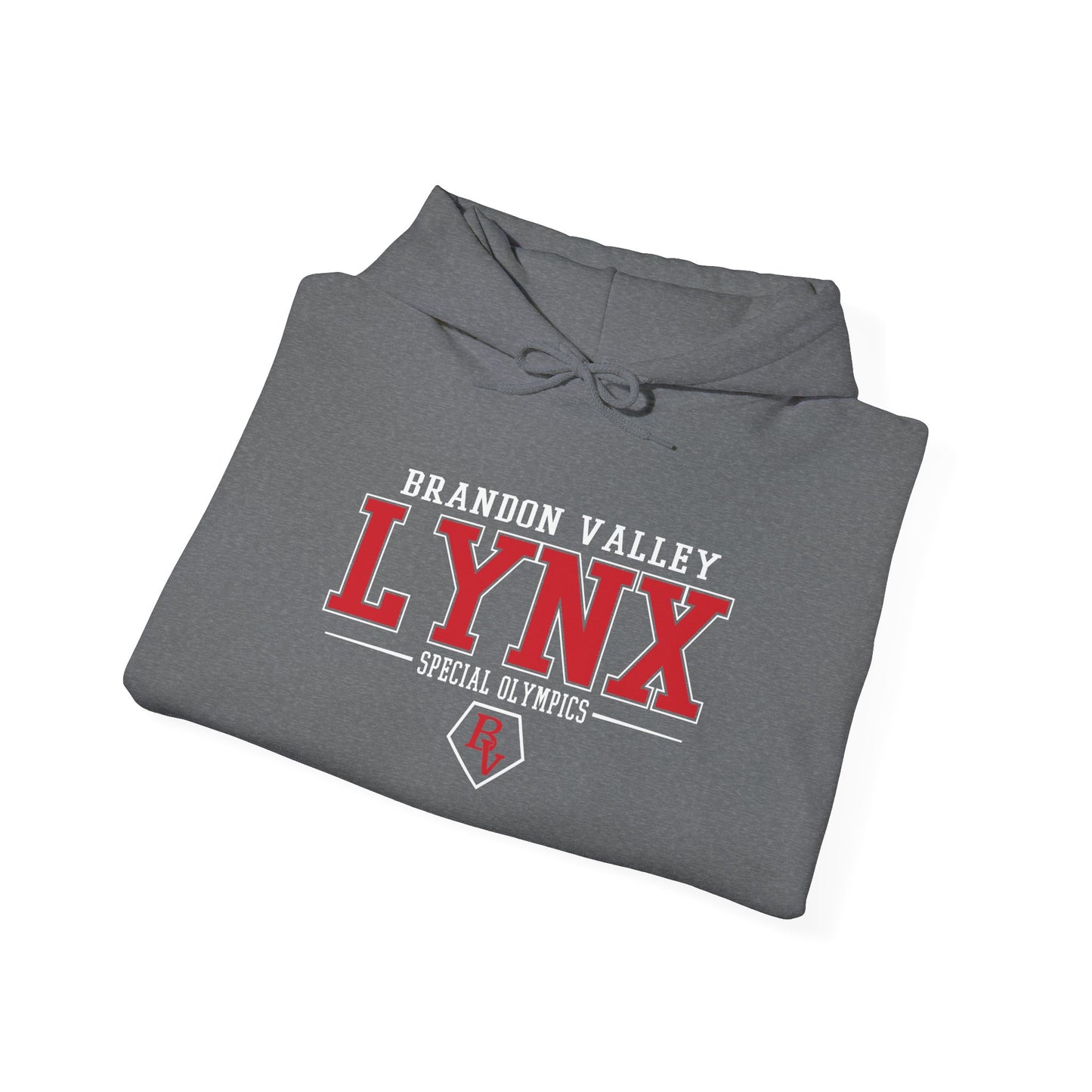 Copy of BV Special Olympics Unisex Heavy Blend™ Hooded Sweatshirt