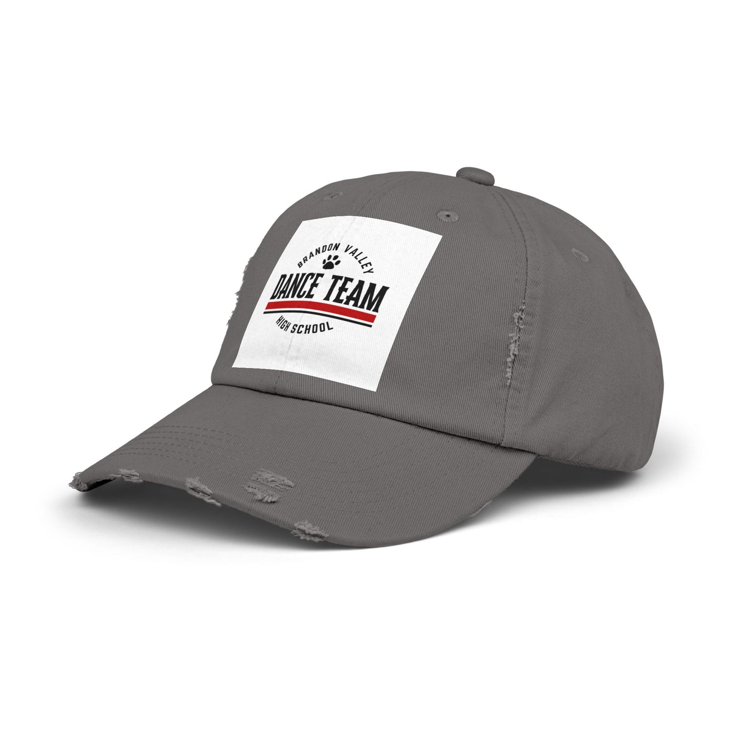 BV Dance - Unisex Distressed Cap