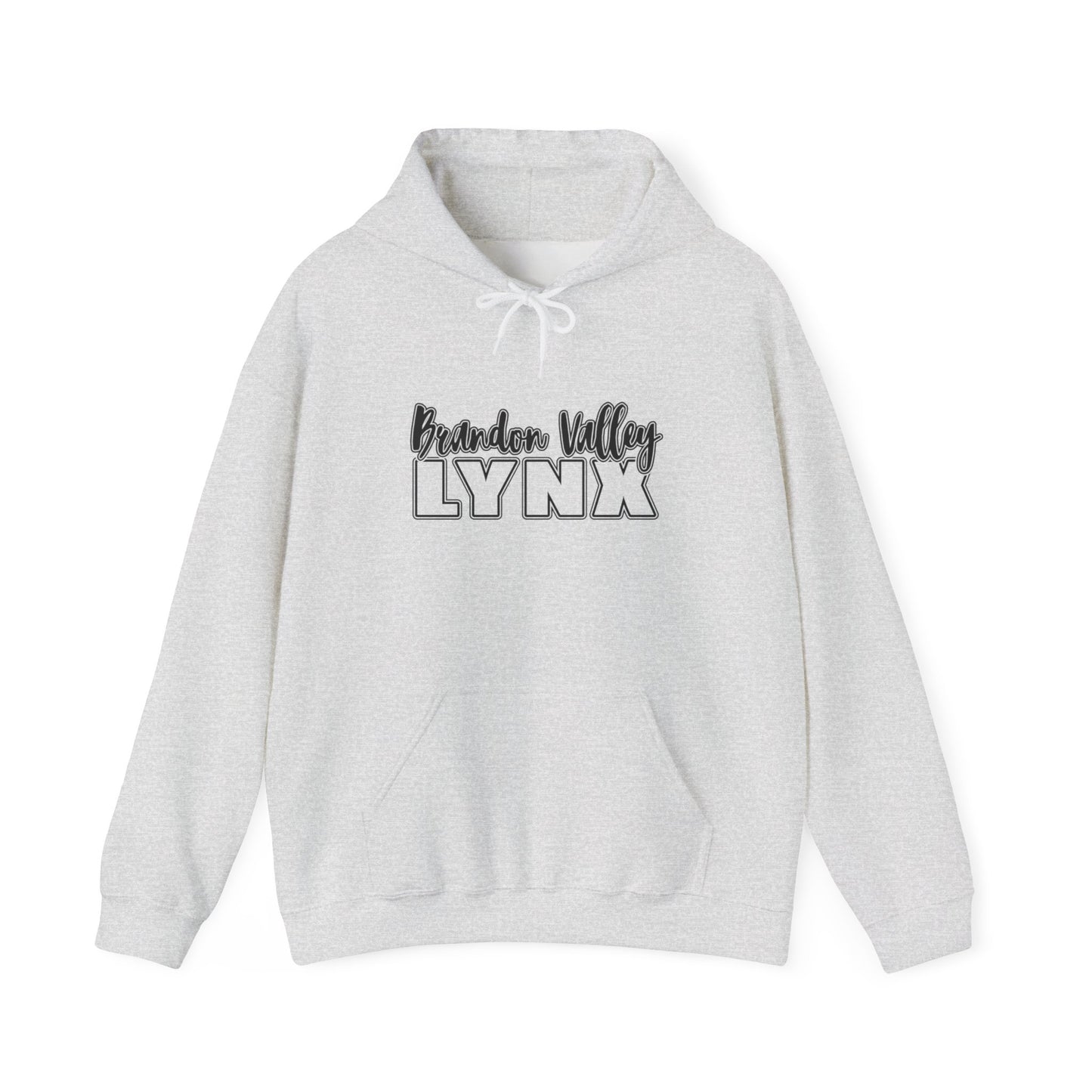 BV Unisex Heavy Blend™ Hooded Sweatshirt
