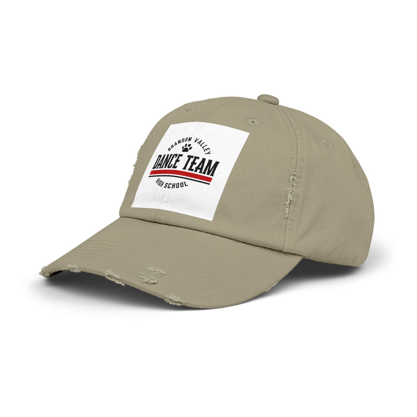 BV Dance - Unisex Distressed Cap