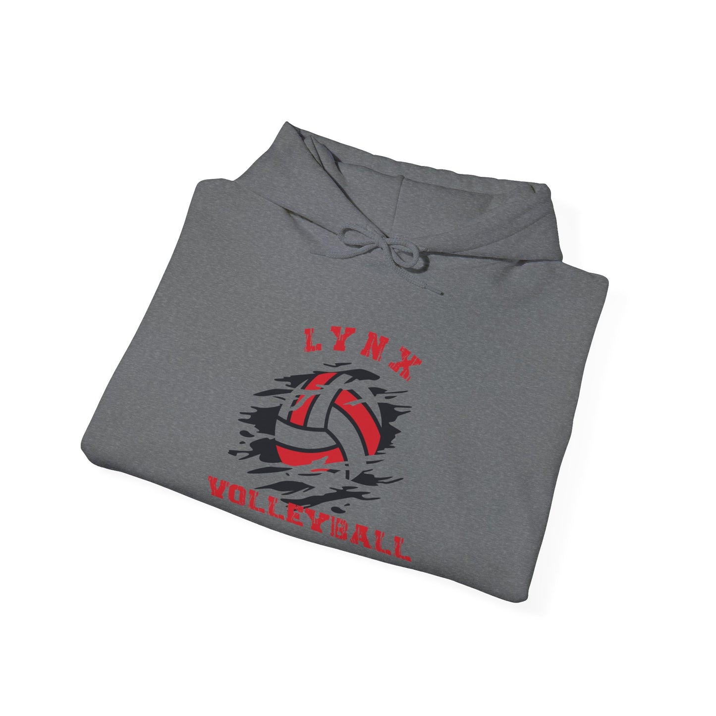 BV Volleyball unisex Heavy Blend™ Hooded Sweatshirt