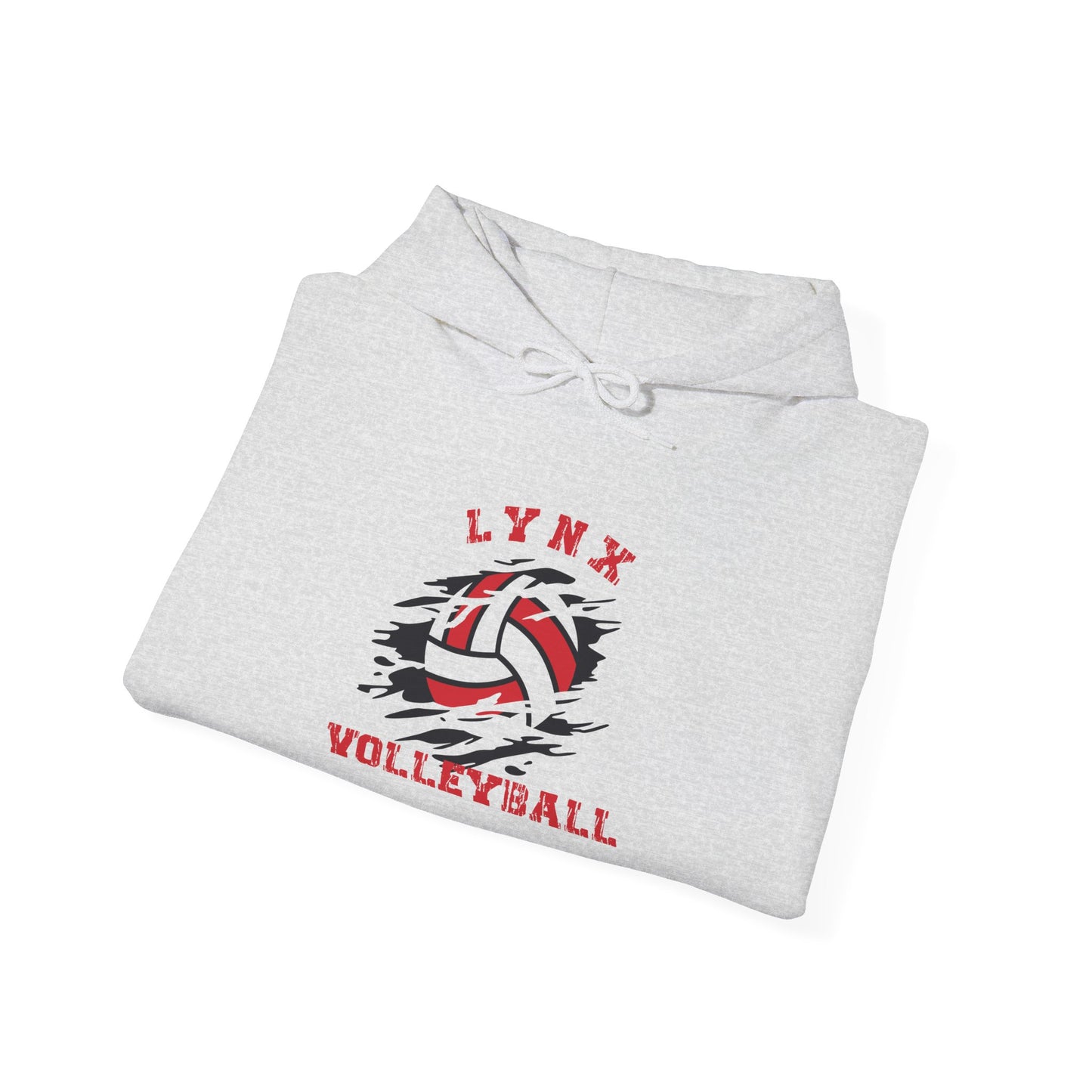 BV Volleyball Unisex Heavy Blend™ Hooded Sweatshirt