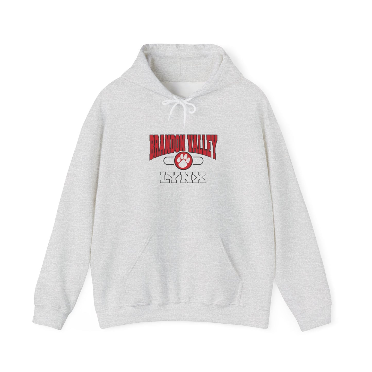 BV Unisex Heavy Blend™ Hooded Sweatshirt