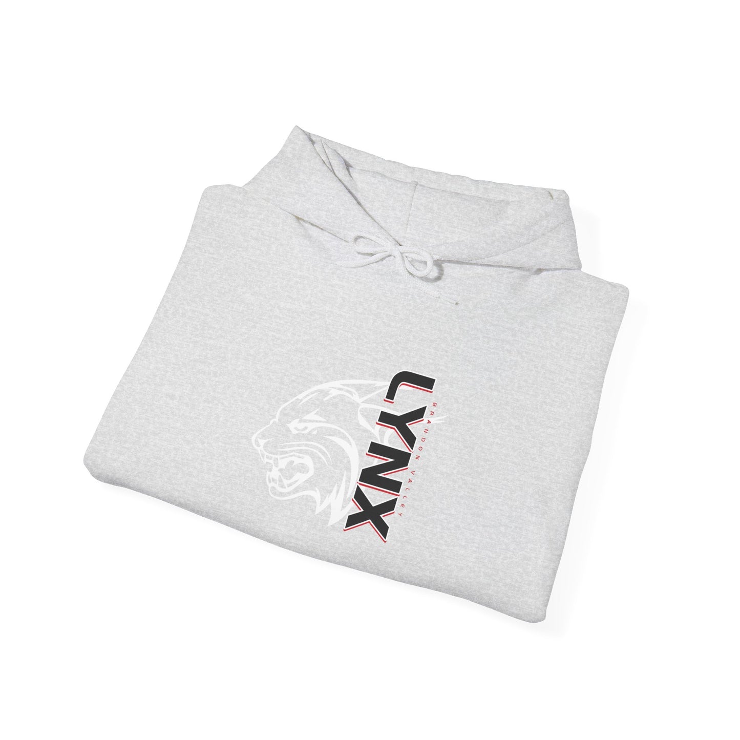 BV Unisex Heavy Blend™ Hooded Sweatshirt