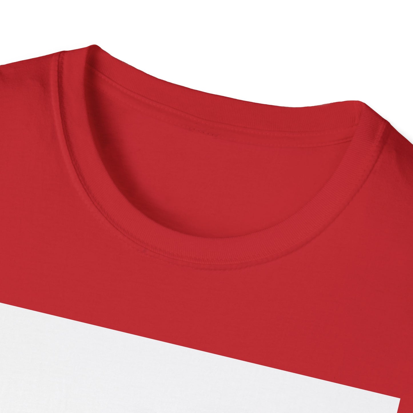 BV dance Unisex Softstyle T-Shirt