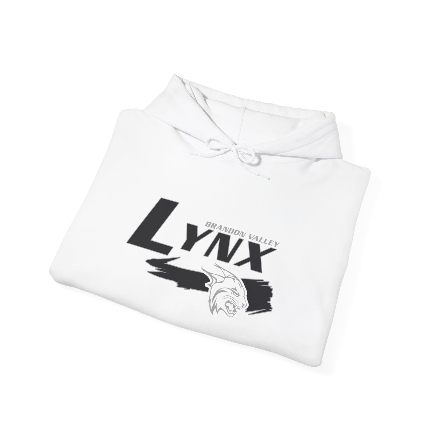 BV Unisex Heavy Blend™ Hooded Sweatshirt