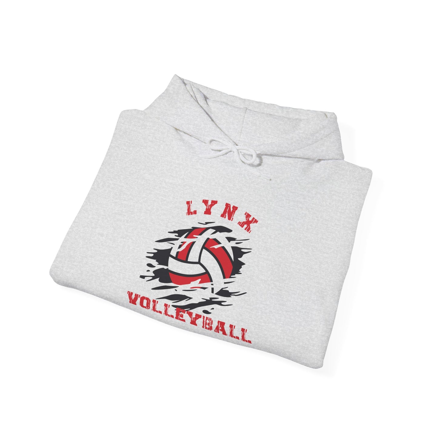 BV Volleyball unisex Heavy Blend™ Hooded Sweatshirt