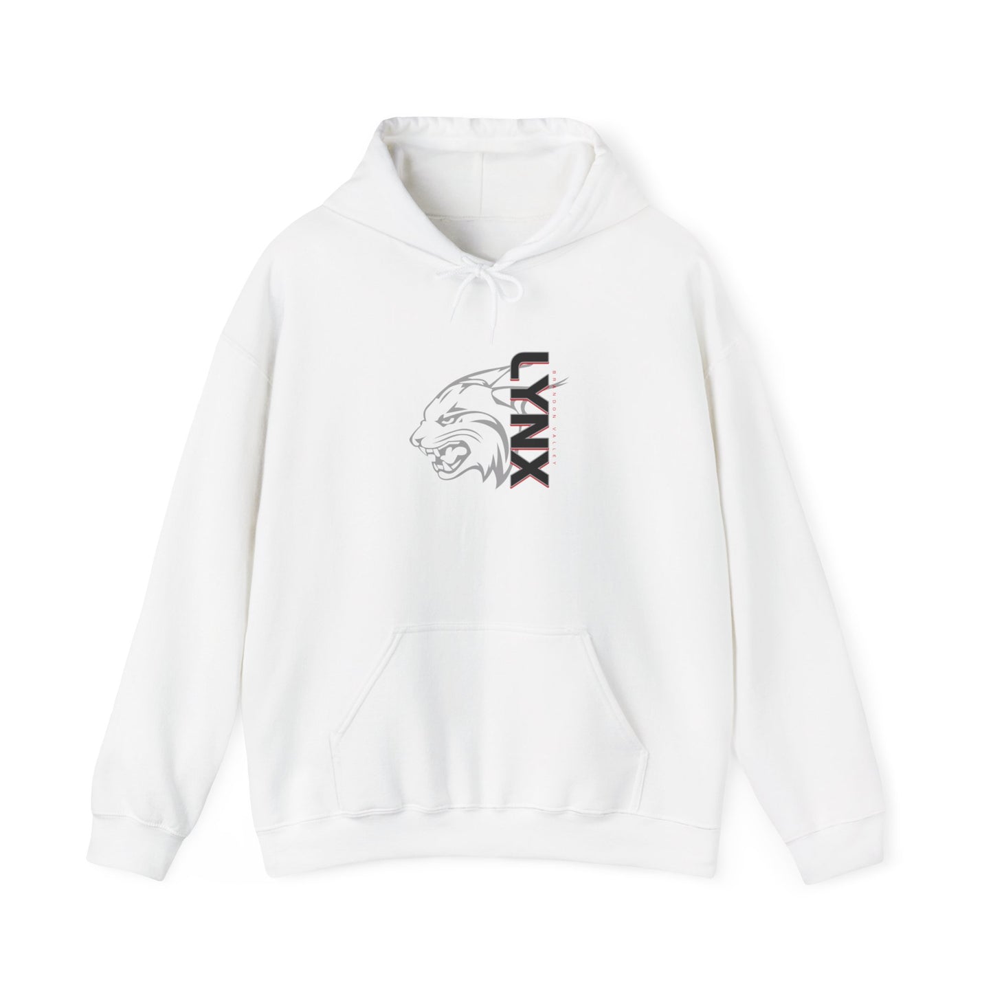 BV Unisex Heavy Blend™ Hooded Sweatshirt