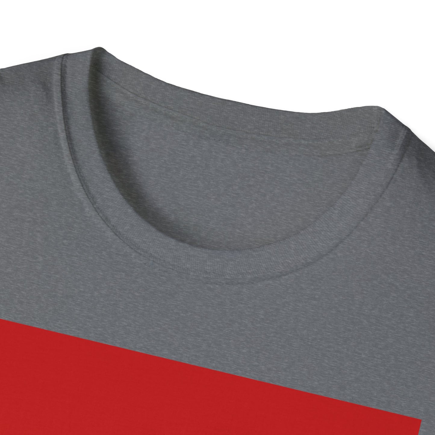 BV dance Unisex Softstyle T-Shirt