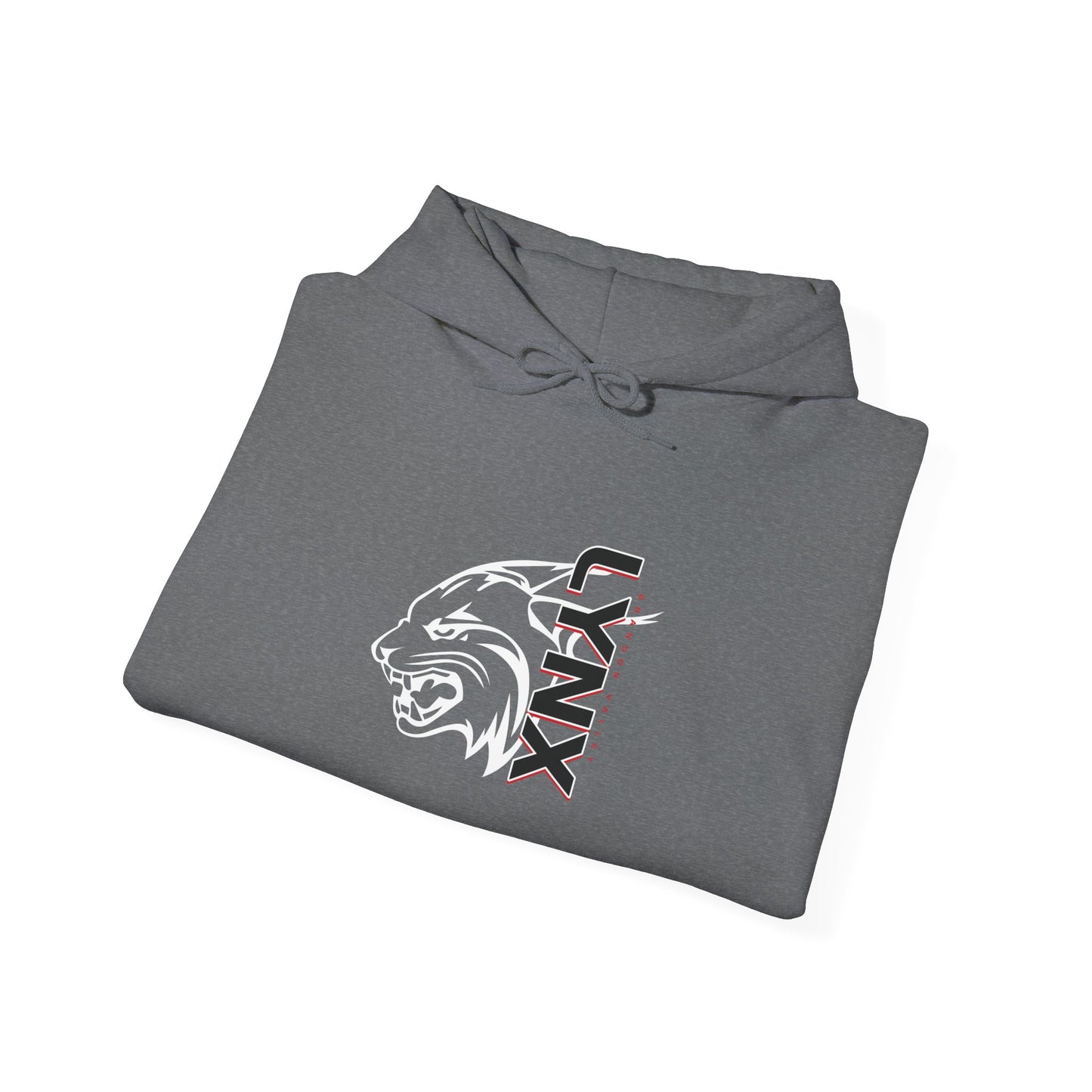 BV Unisex Heavy Blend™ Hooded Sweatshirt