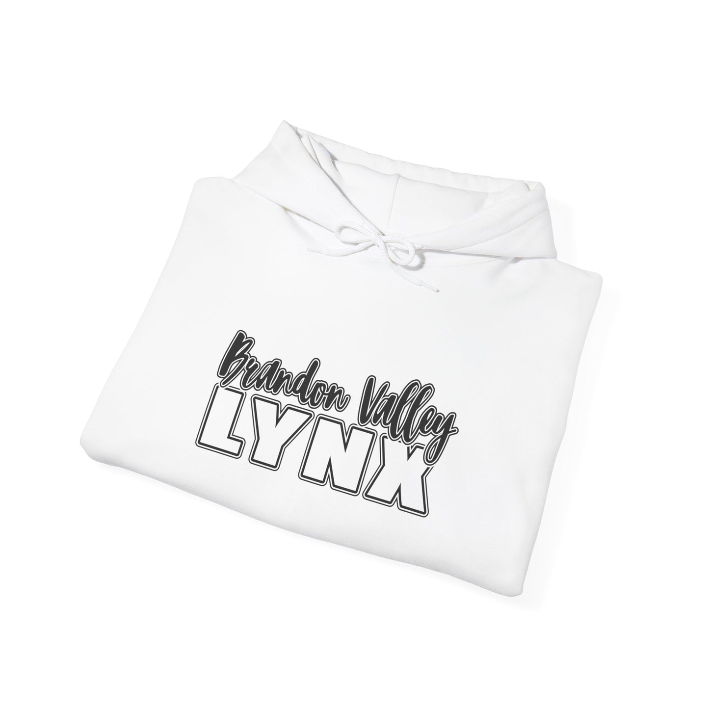 BV Unisex Heavy Blend™ Hooded Sweatshirt