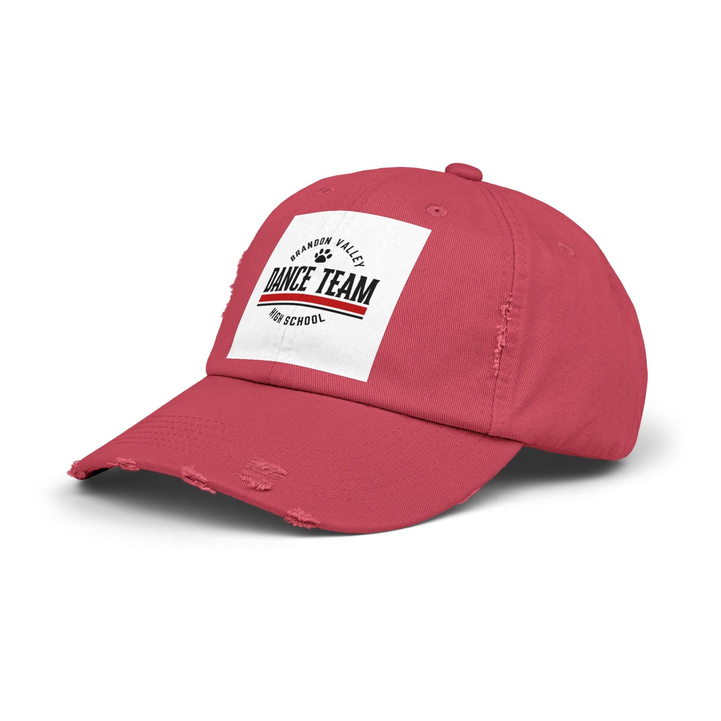 BV Dance - Unisex Distressed Cap