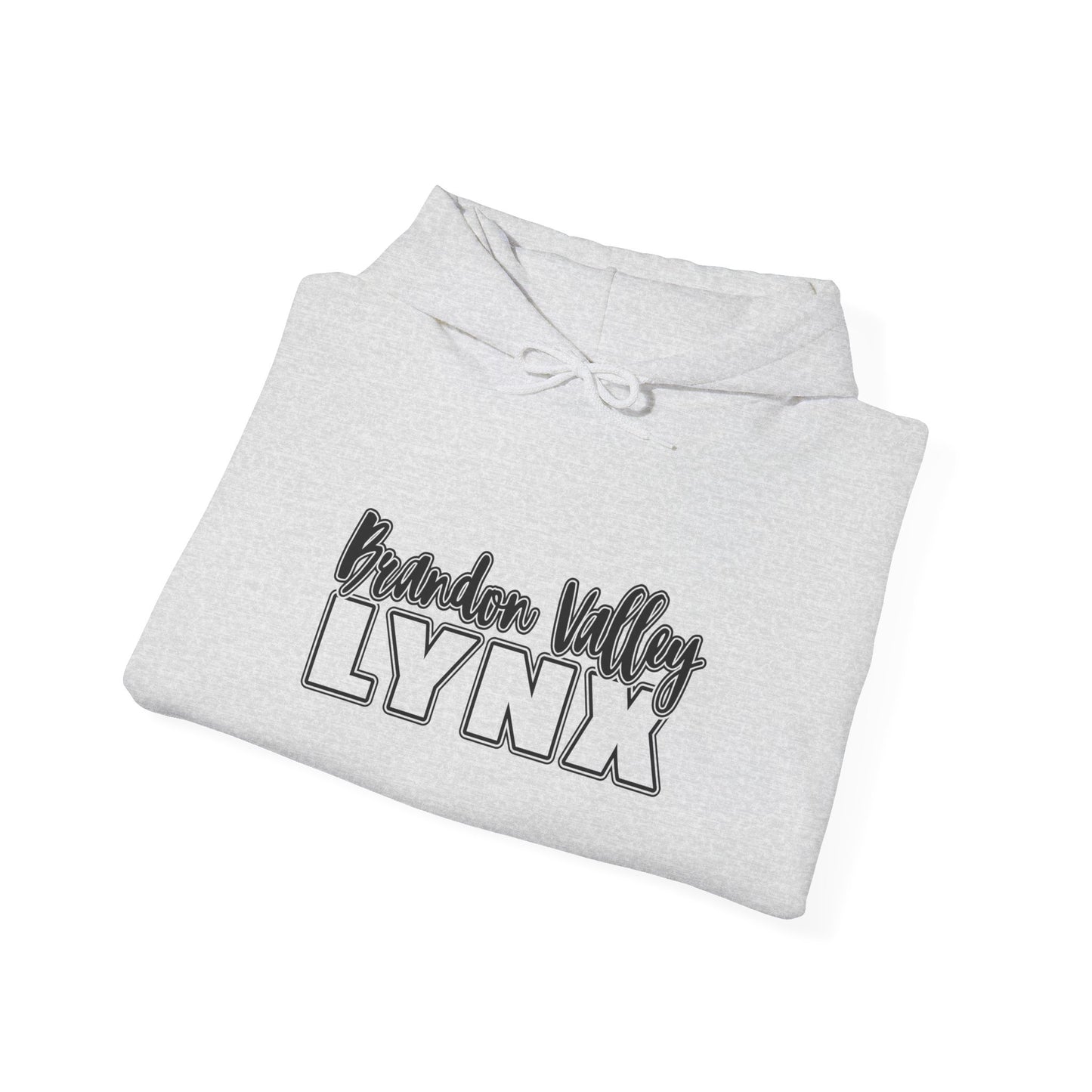 BV Unisex Heavy Blend™ Hooded Sweatshirt