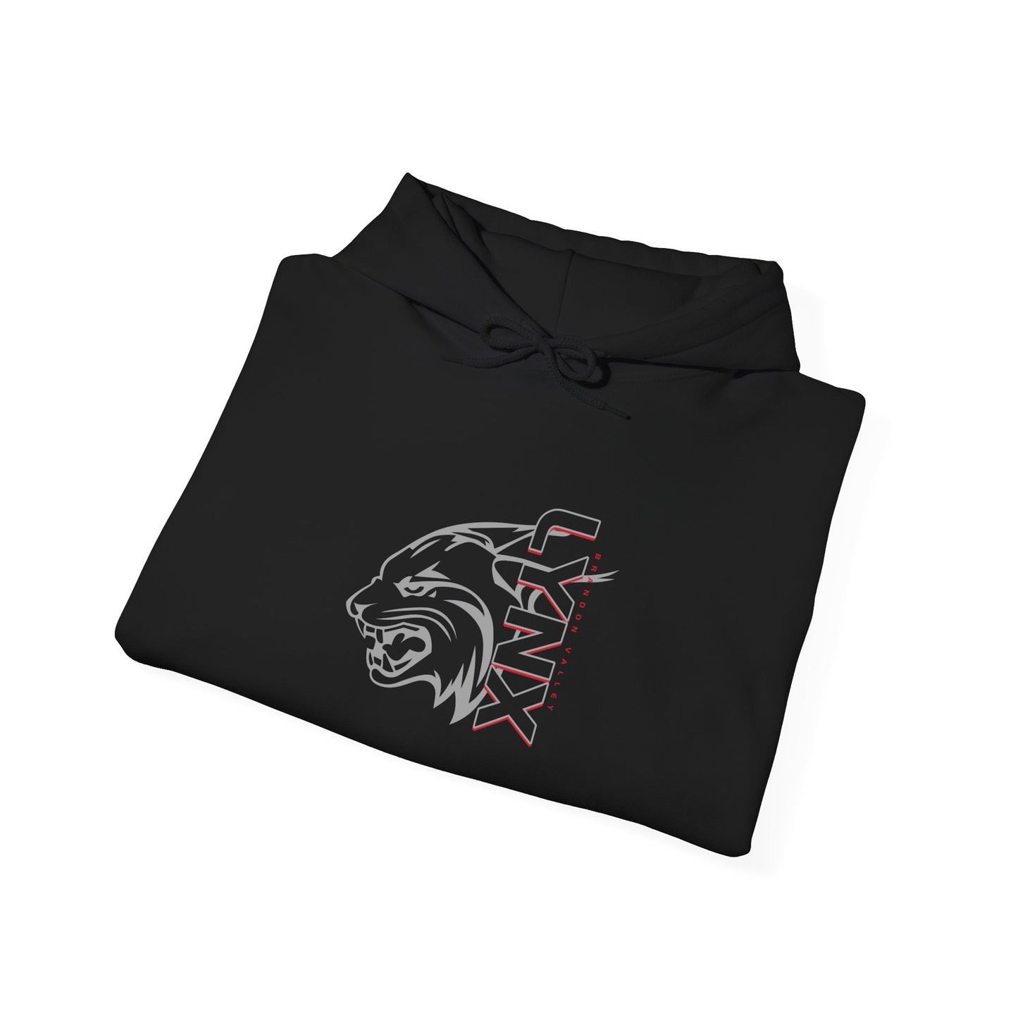 BV Unisex Heavy Blend™ Hooded Sweatshirt