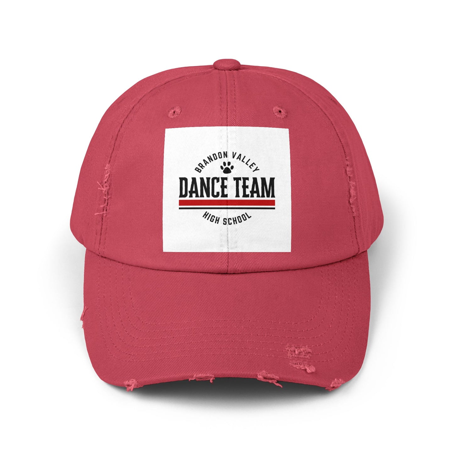BV Dance - Unisex Distressed Cap