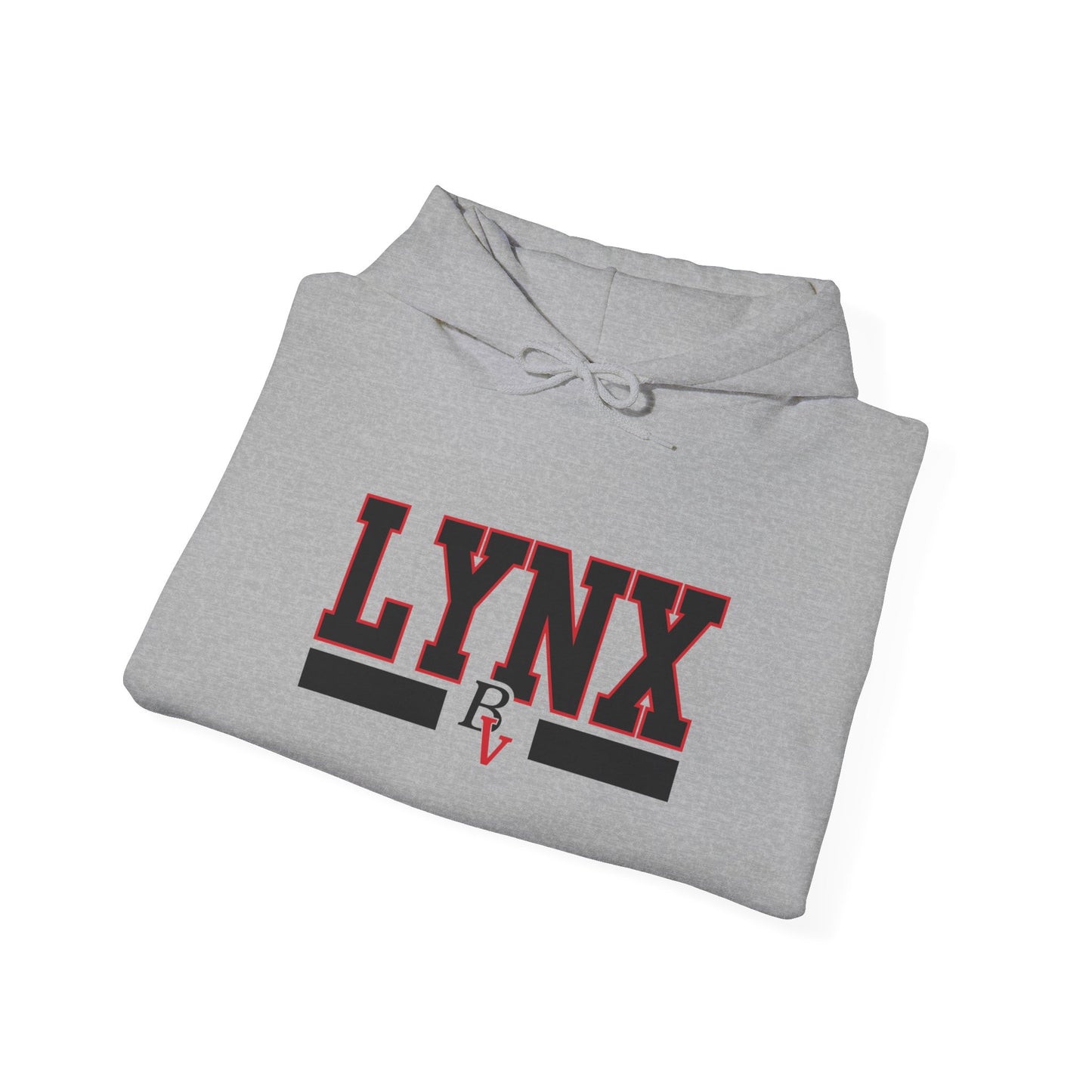 BV Unisex Heavy Blend™ Hooded Sweatshirt