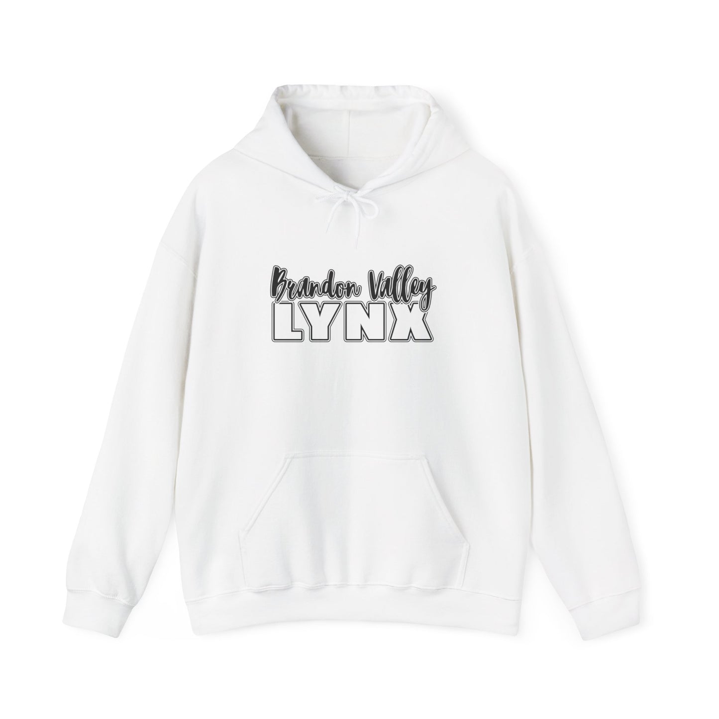 BV Unisex Heavy Blend™ Hooded Sweatshirt