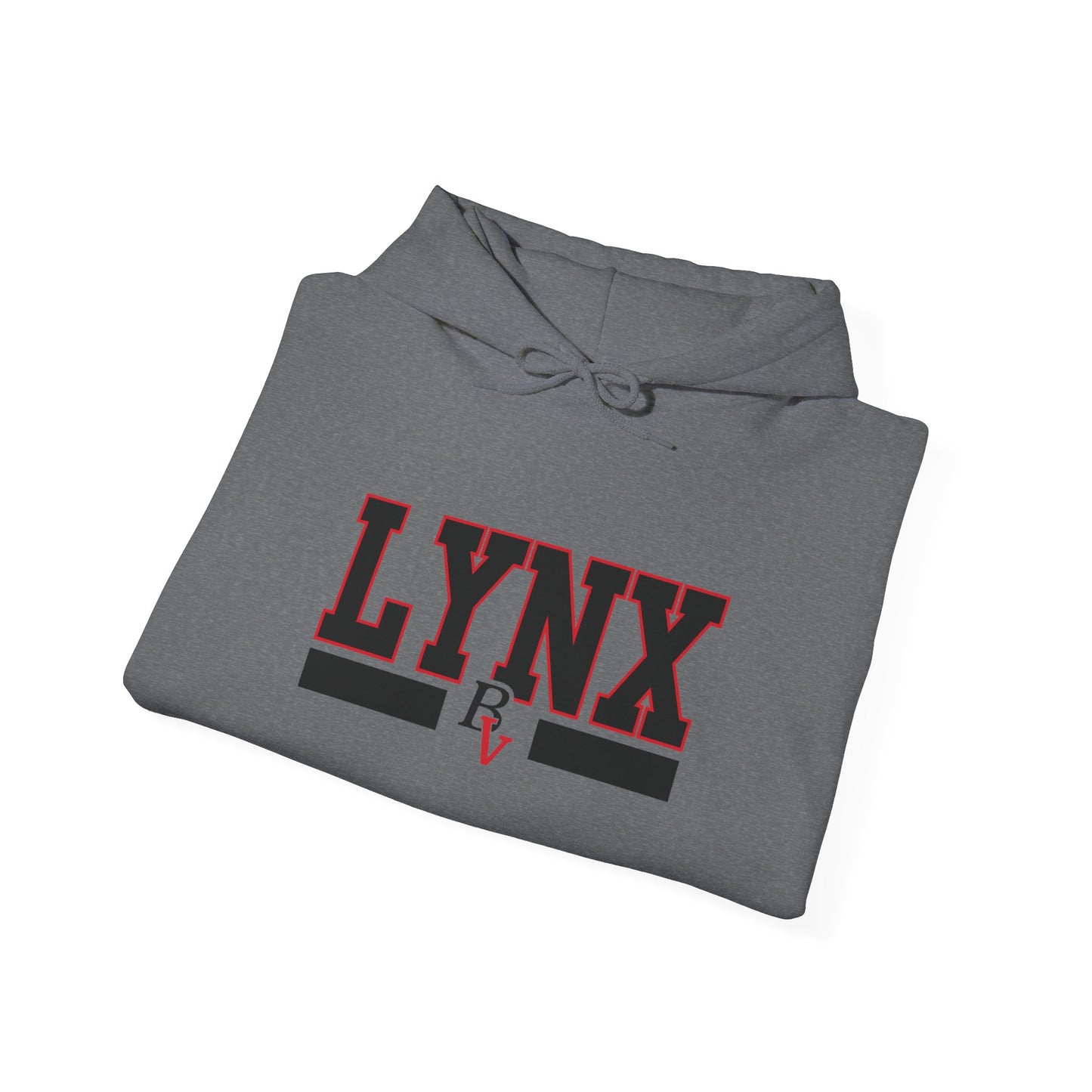 BV Unisex Heavy Blend™ Hooded Sweatshirt