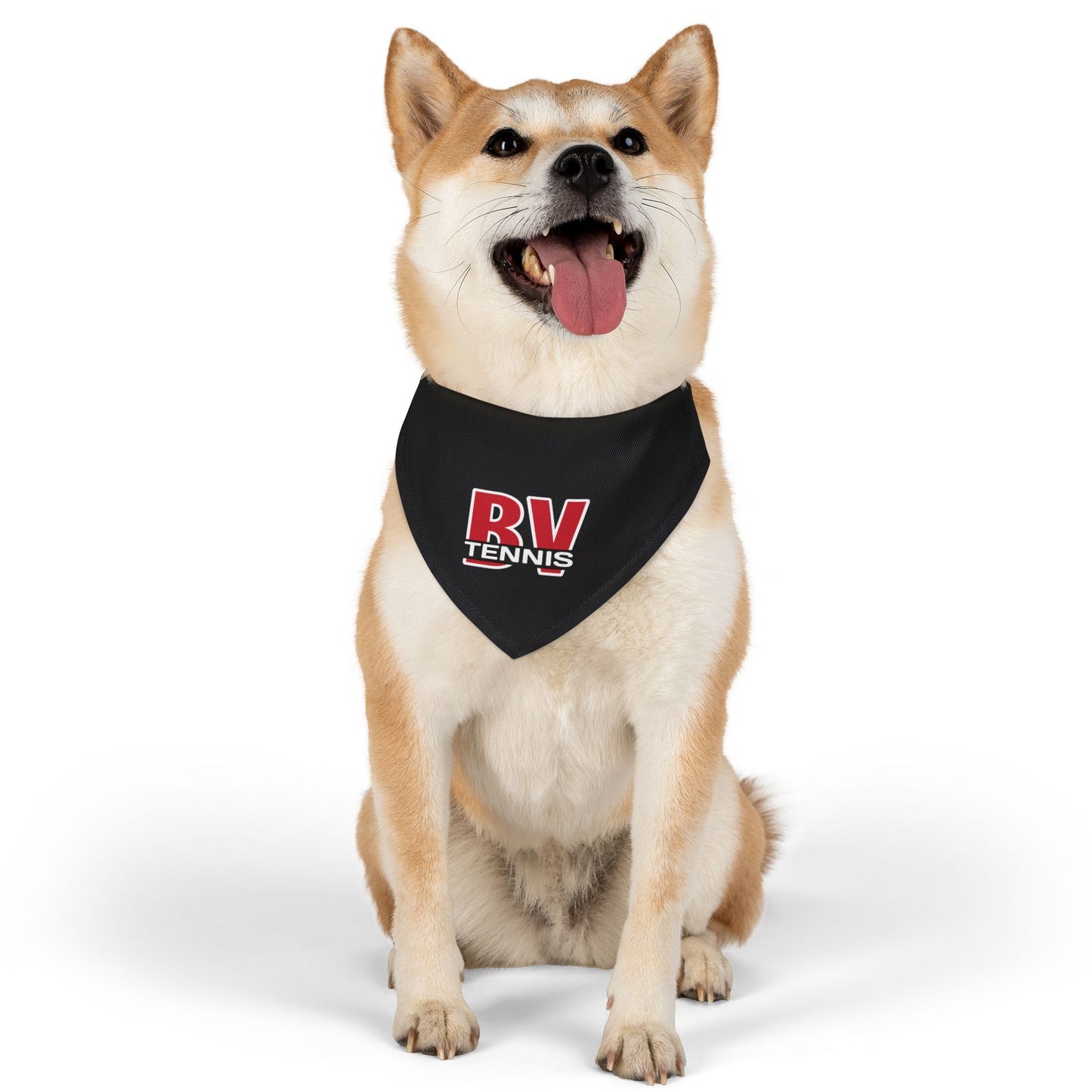 BV Tennis 1 - Pet Bandana Collar