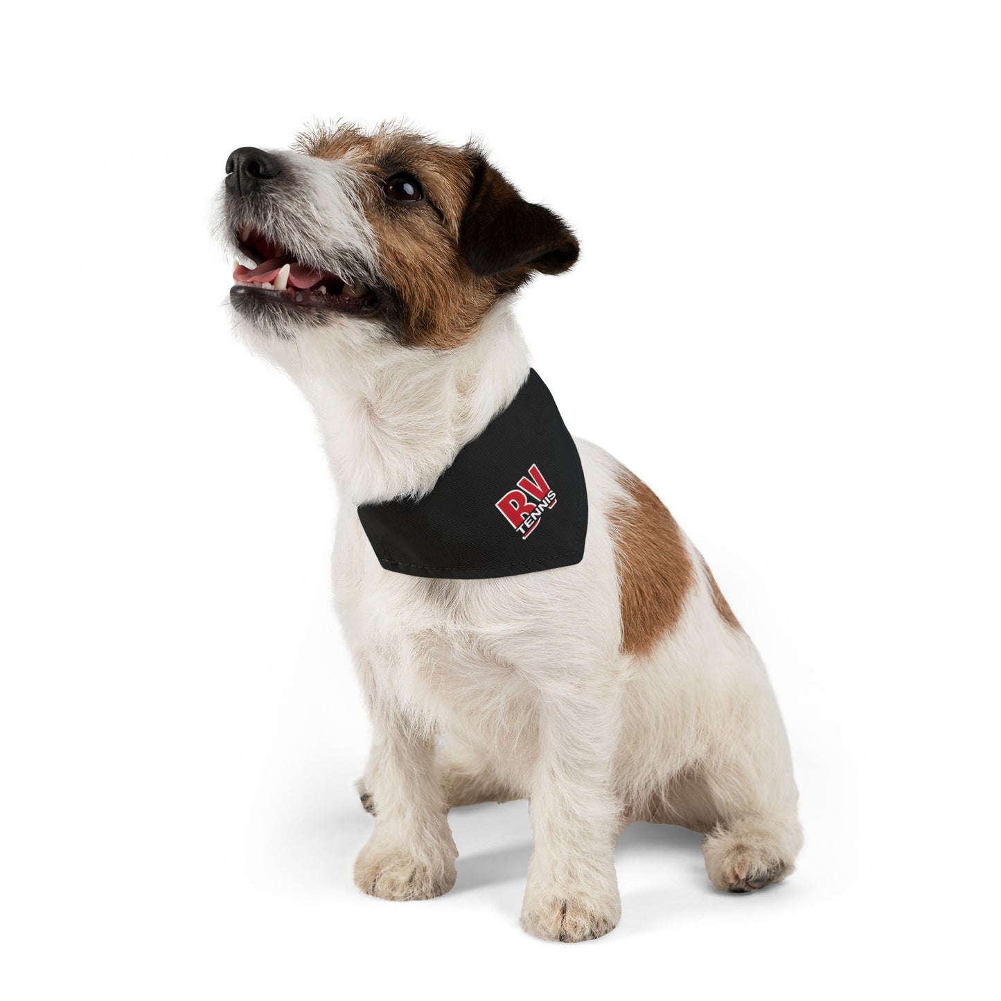 BV Tennis 1 - Pet Bandana Collar