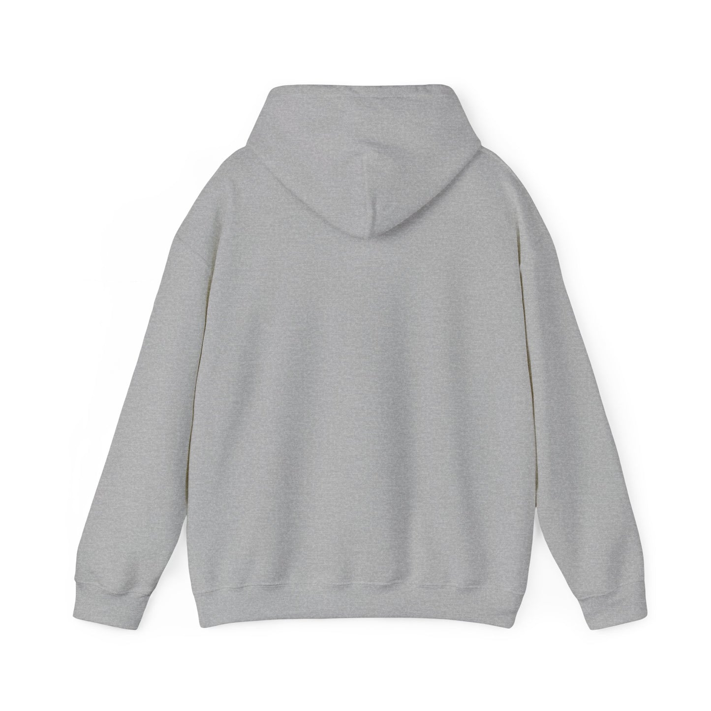 BV Unisex Heavy Blend™ Hooded Sweatshirt