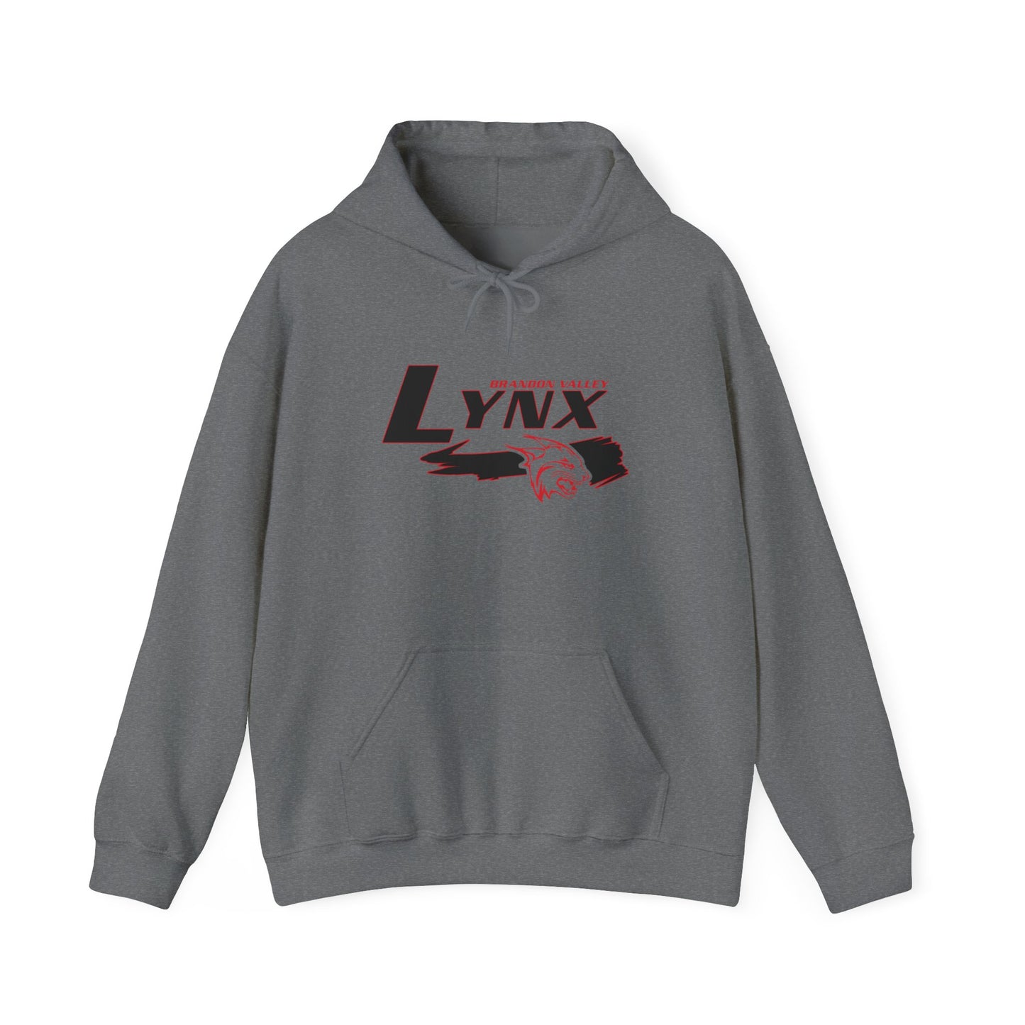 BV Unisex Heavy Blend™ Hooded Sweatshirt