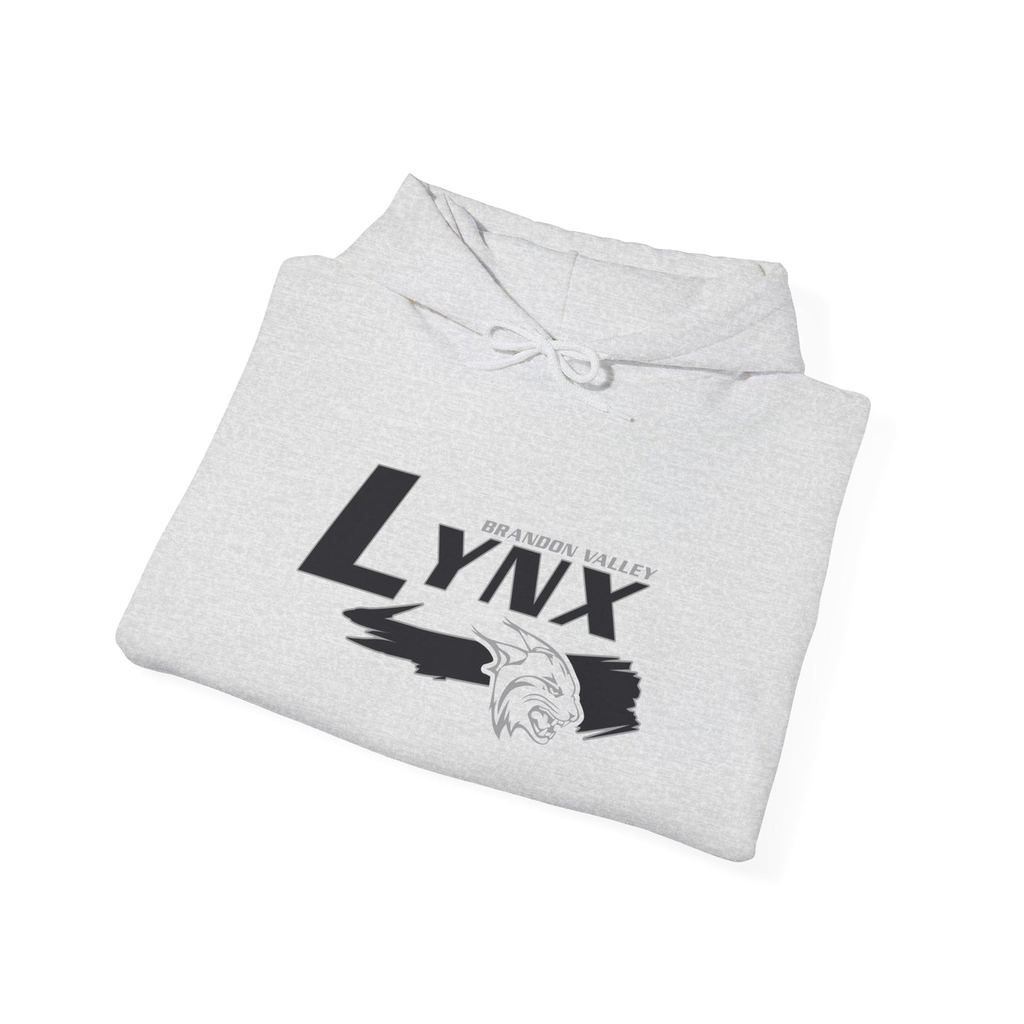 BV Unisex Heavy Blend™ Hooded Sweatshirt