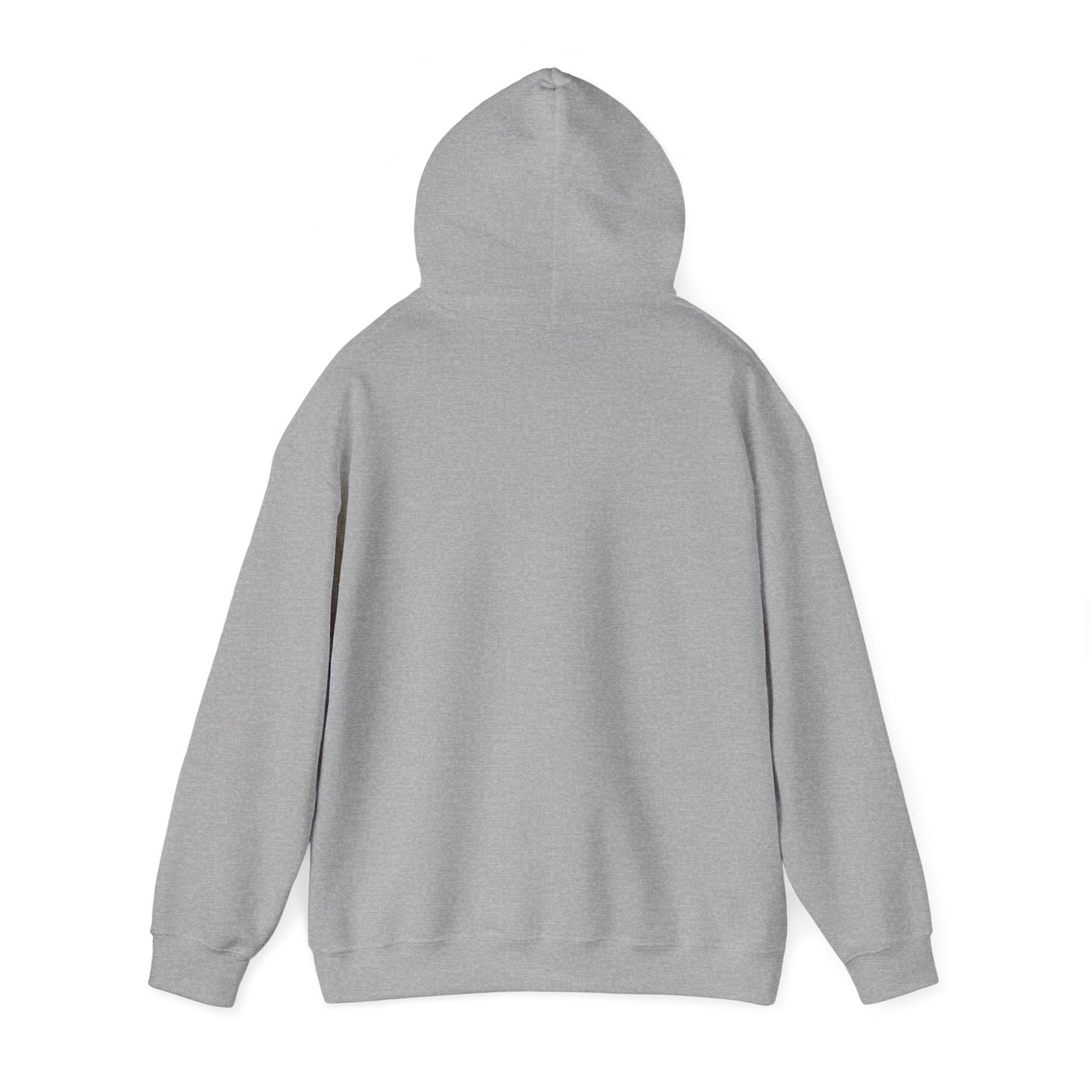 BV Unisex Heavy Blend™ Hooded Sweatshirt
