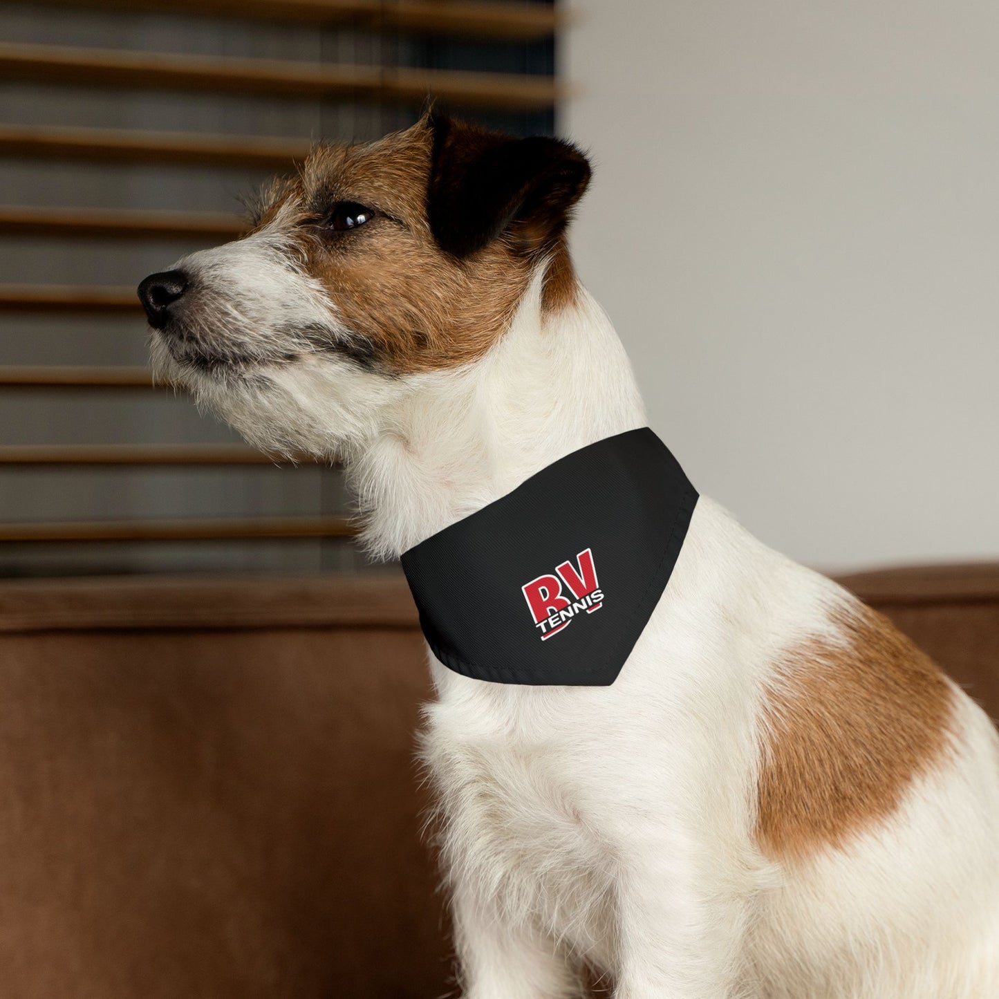BV Tennis 1 - Pet Bandana Collar