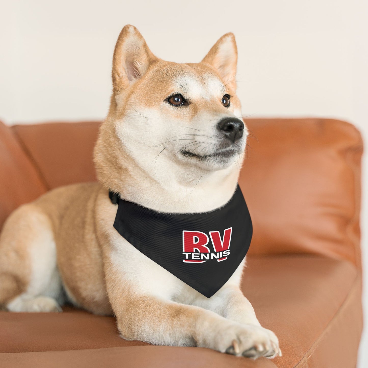 BV Tennis 1 - Pet Bandana Collar