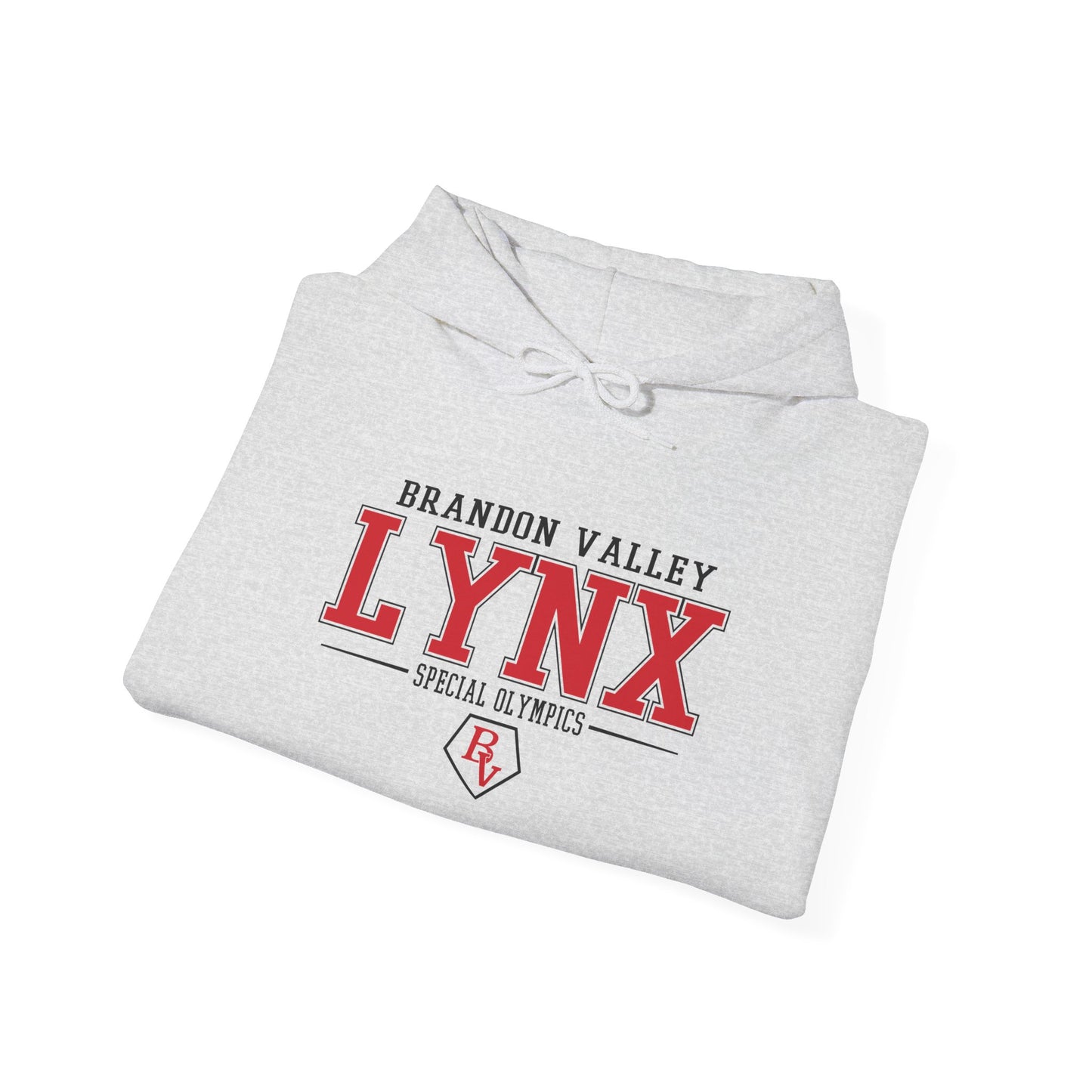 Copy of BV Special Olympics Unisex Heavy Blend™ Hooded Sweatshirt