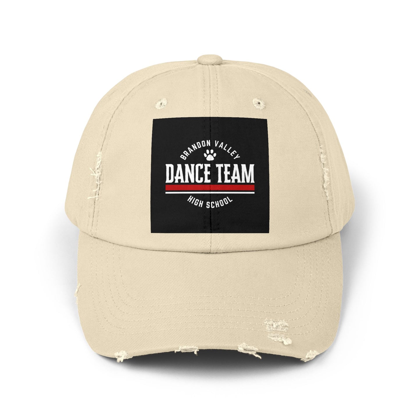 BV Dance - Unisex Distressed Cap