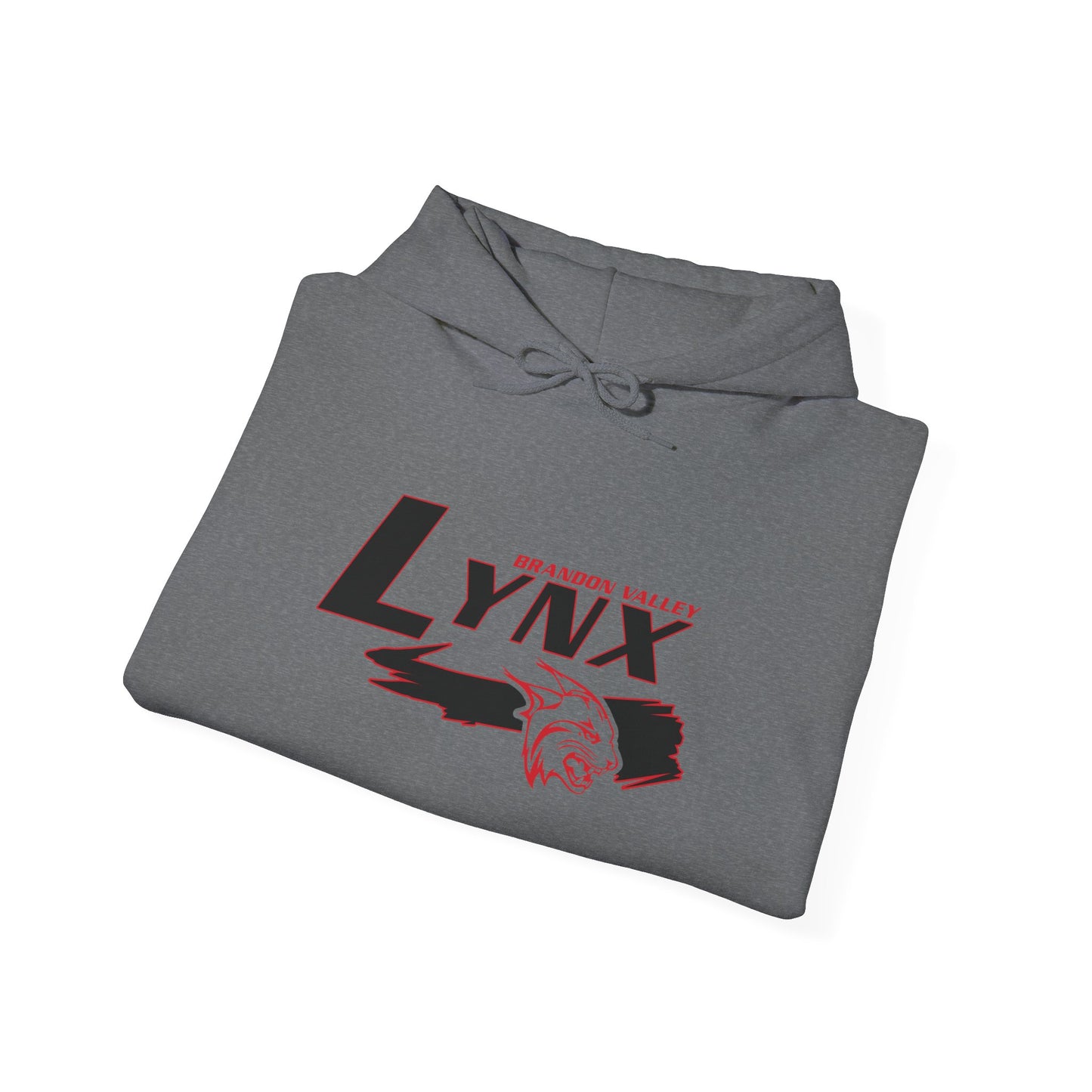 BV Unisex Heavy Blend™ Hooded Sweatshirt