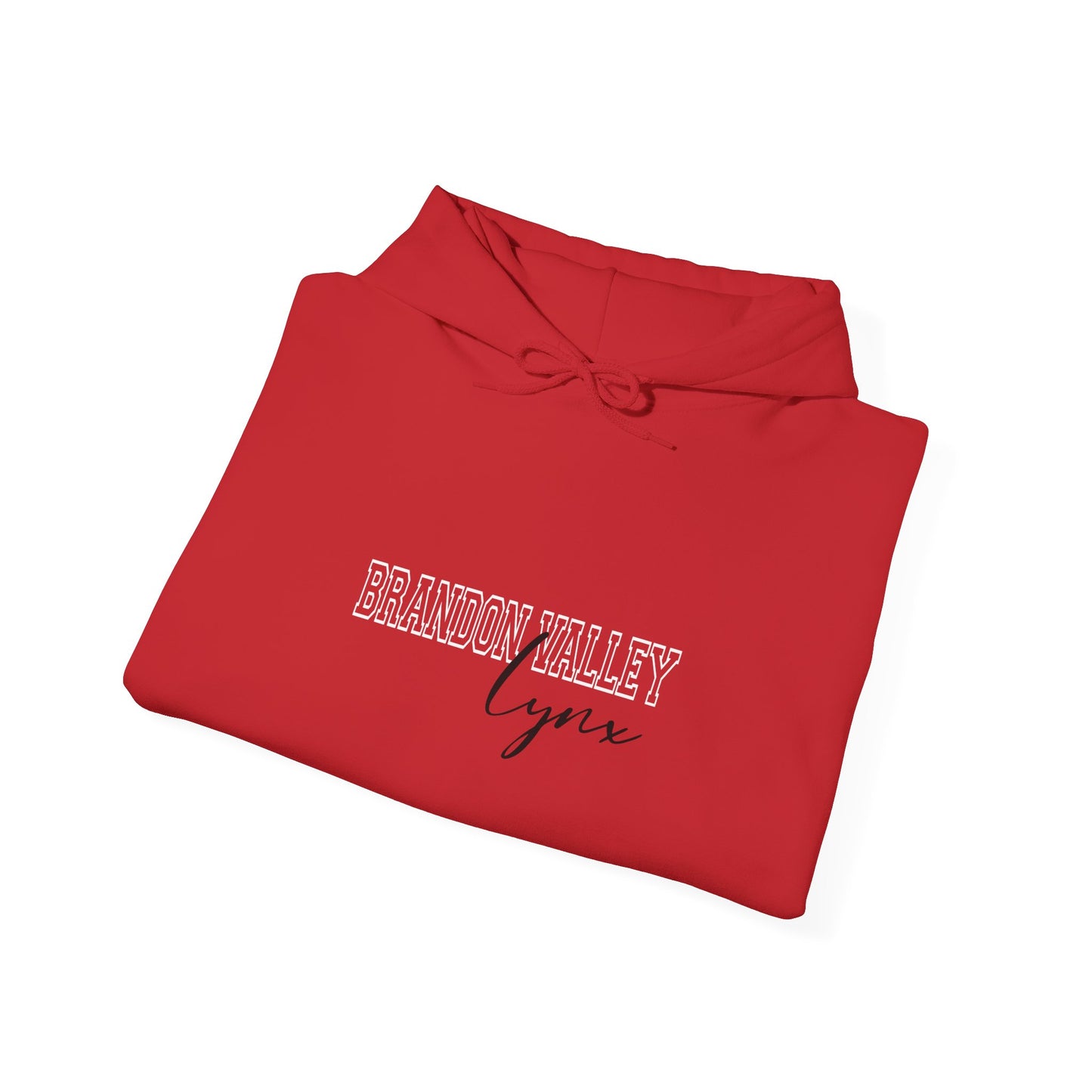 BV unisex Heavy Blend™ Hooded Sweatshirt