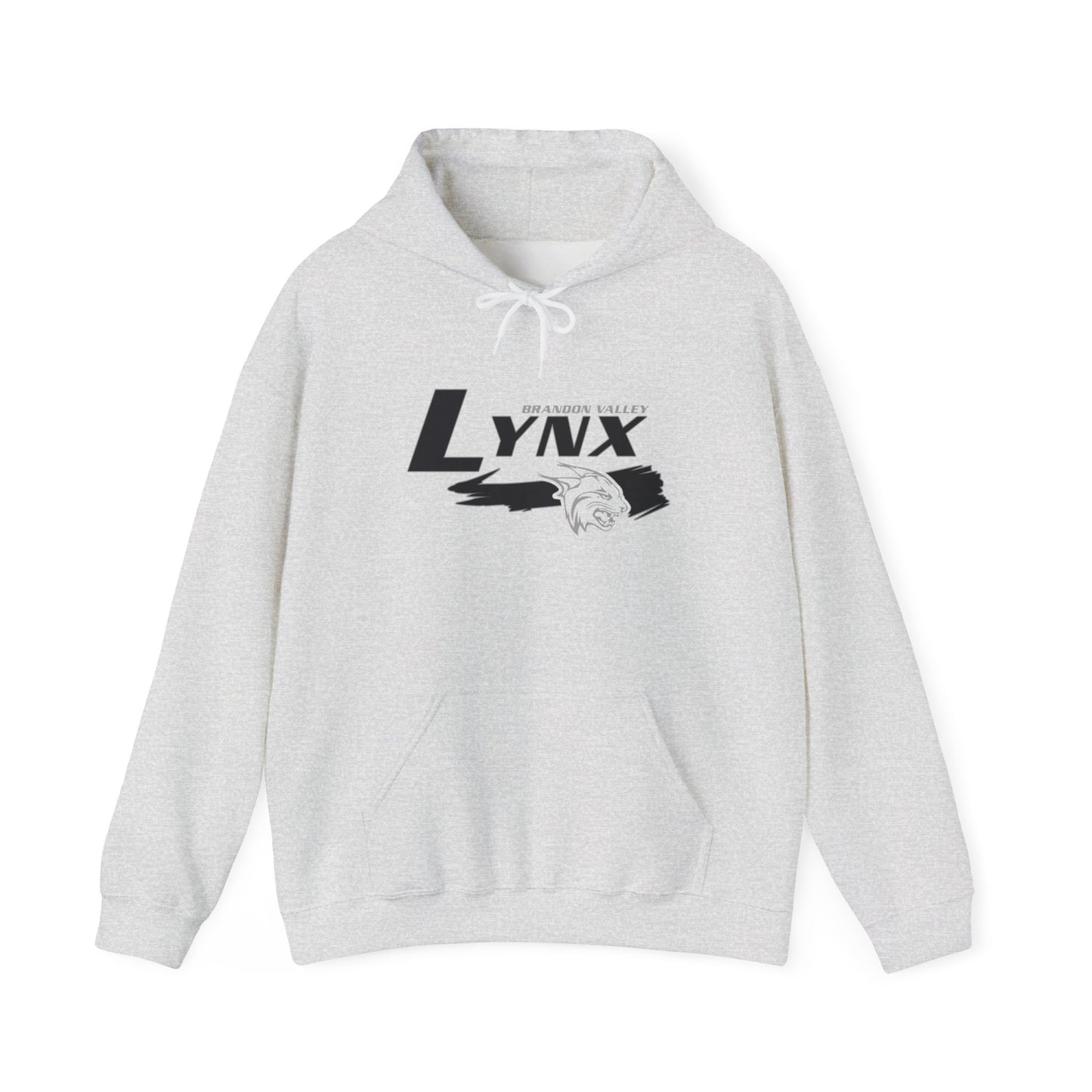 BV Unisex Heavy Blend™ Hooded Sweatshirt