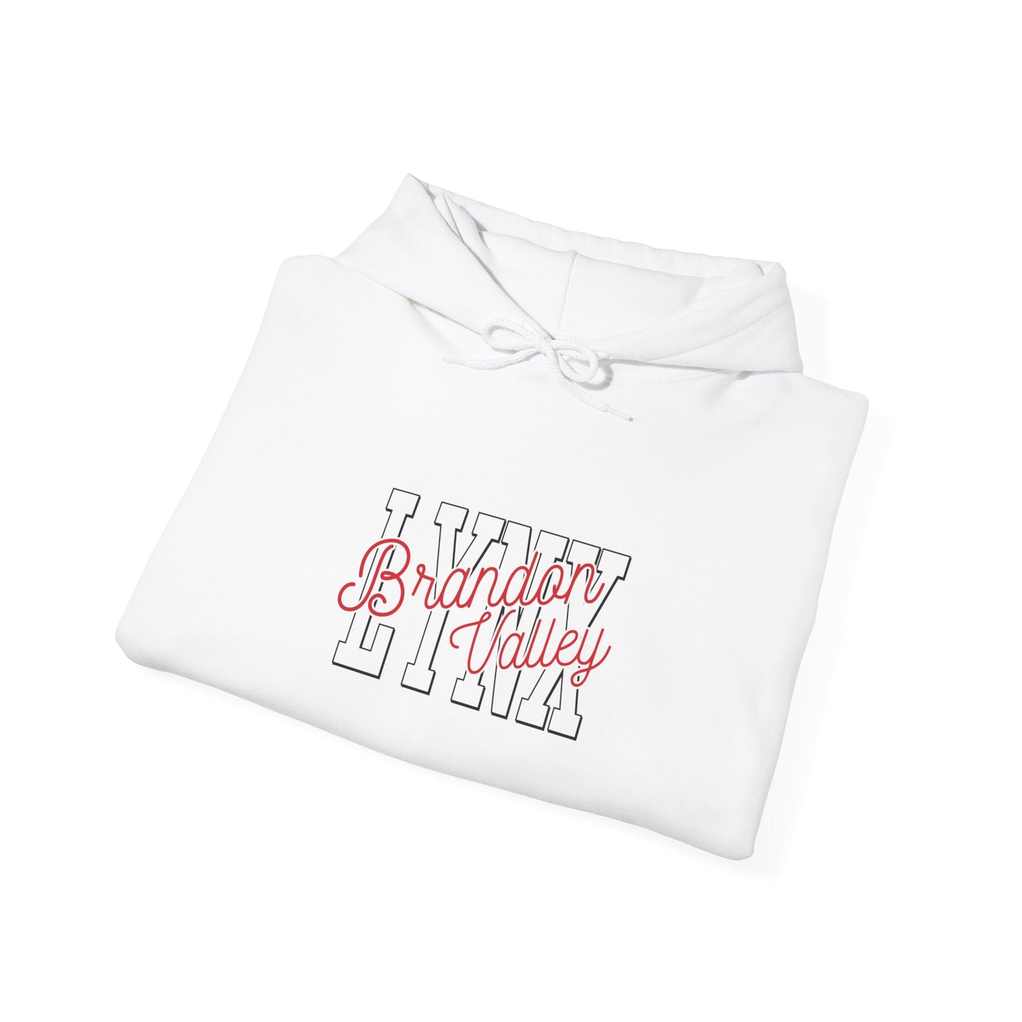 BV unisex Heavy Blend™ Hooded Sweatshirt