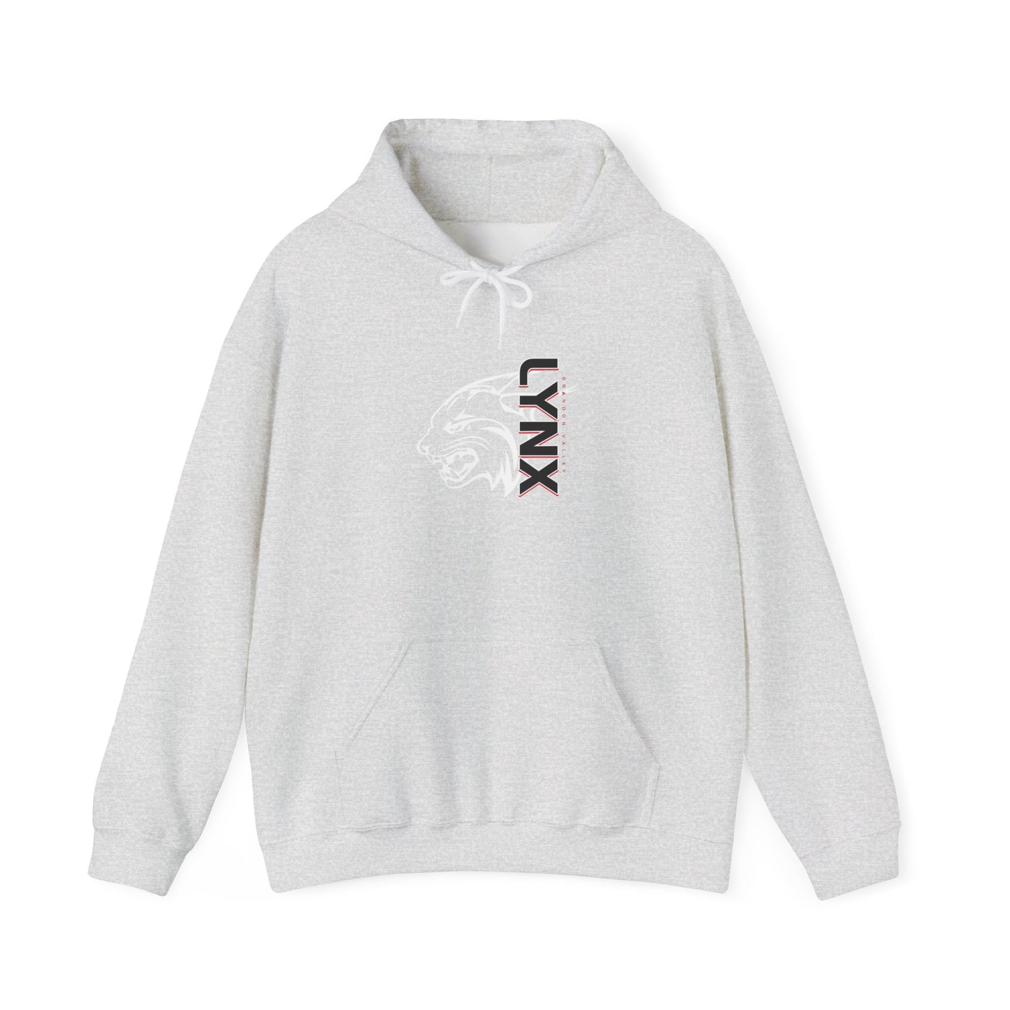 BV Unisex Heavy Blend™ Hooded Sweatshirt