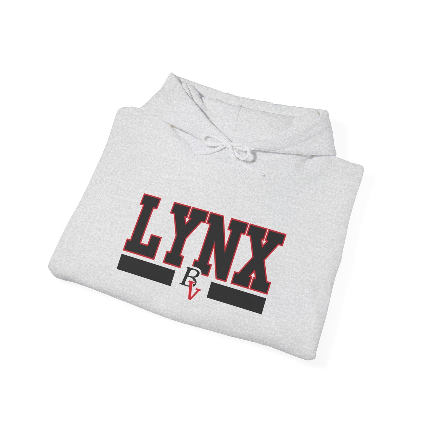 BV Unisex Heavy Blend™ Hooded Sweatshirt