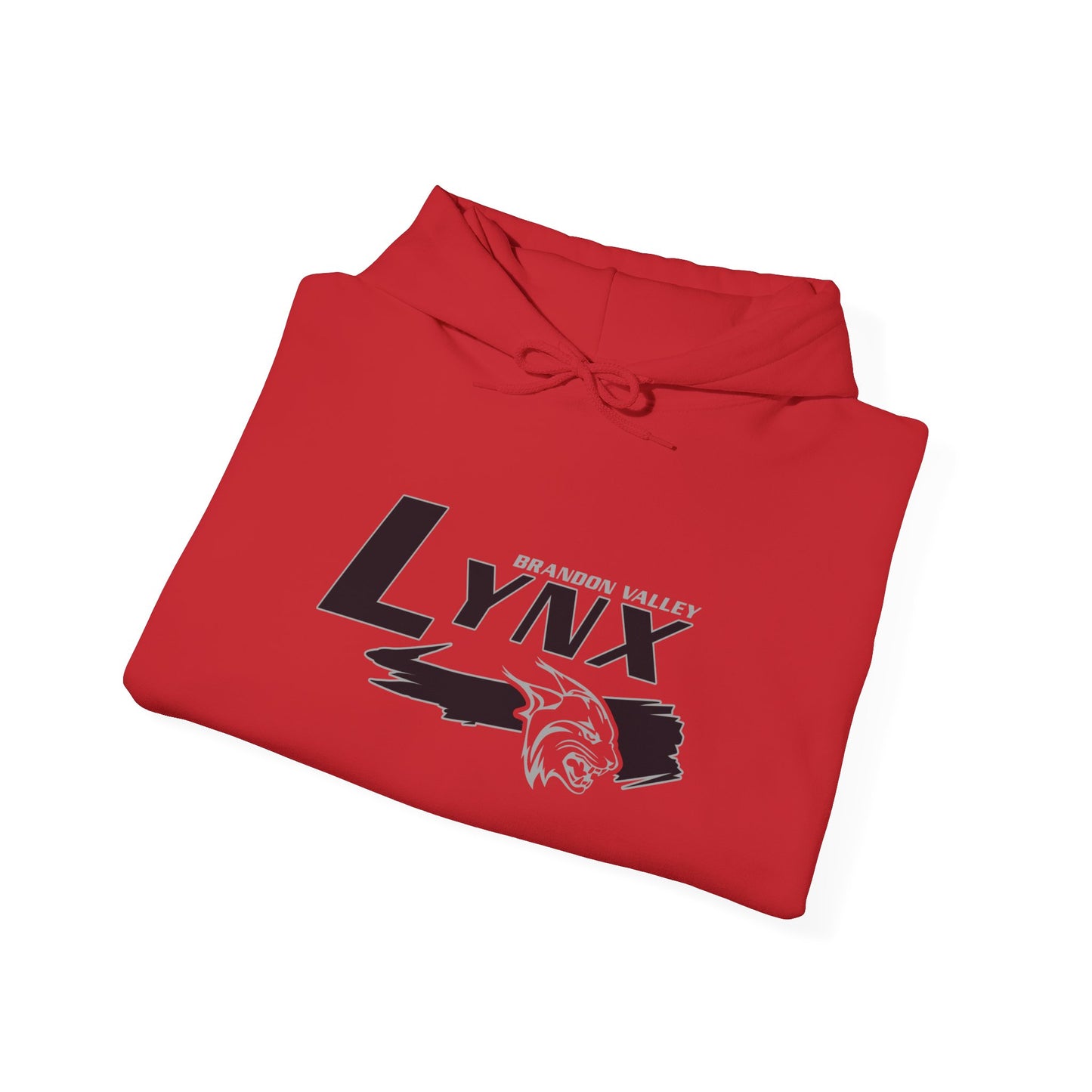 BV Unisex Heavy Blend™ Hooded Sweatshirt