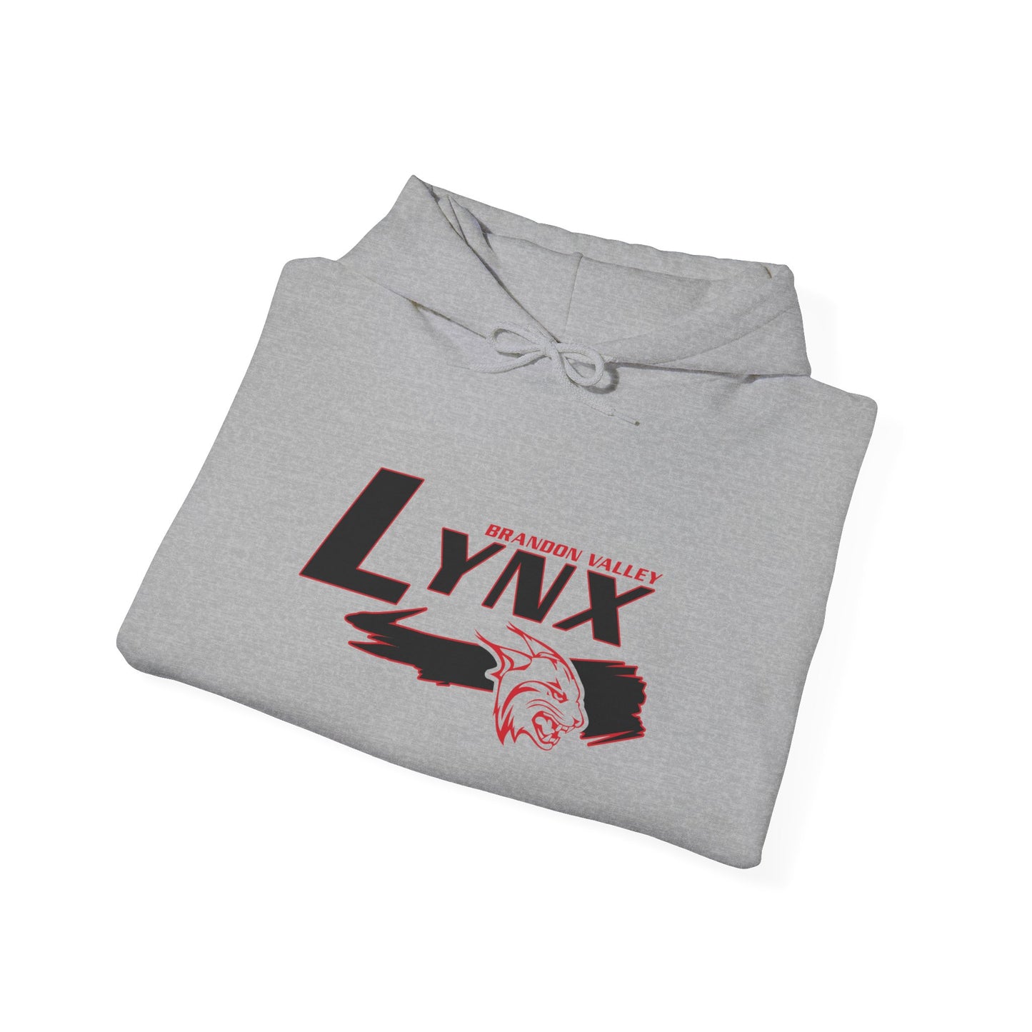 BV Unisex Heavy Blend™ Hooded Sweatshirt