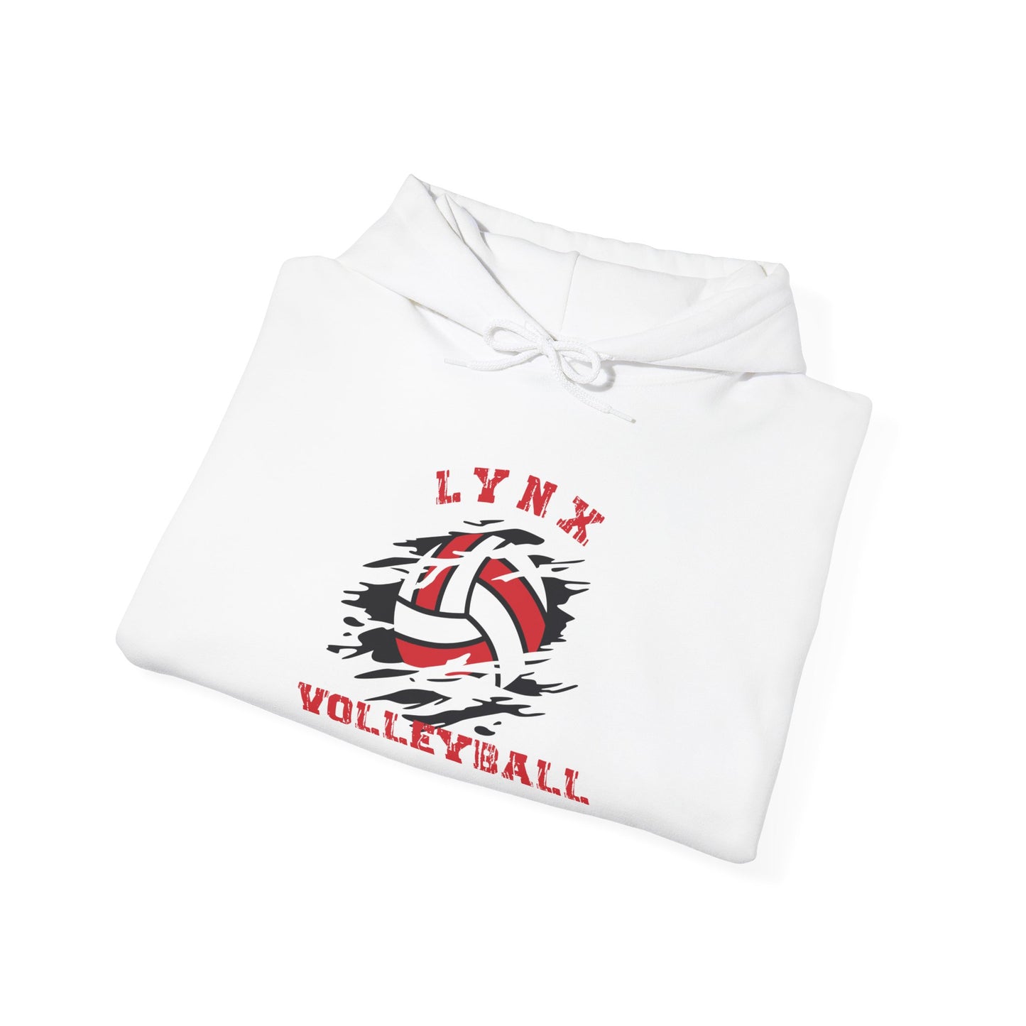 BV Volleyball unisex Heavy Blend™ Hooded Sweatshirt
