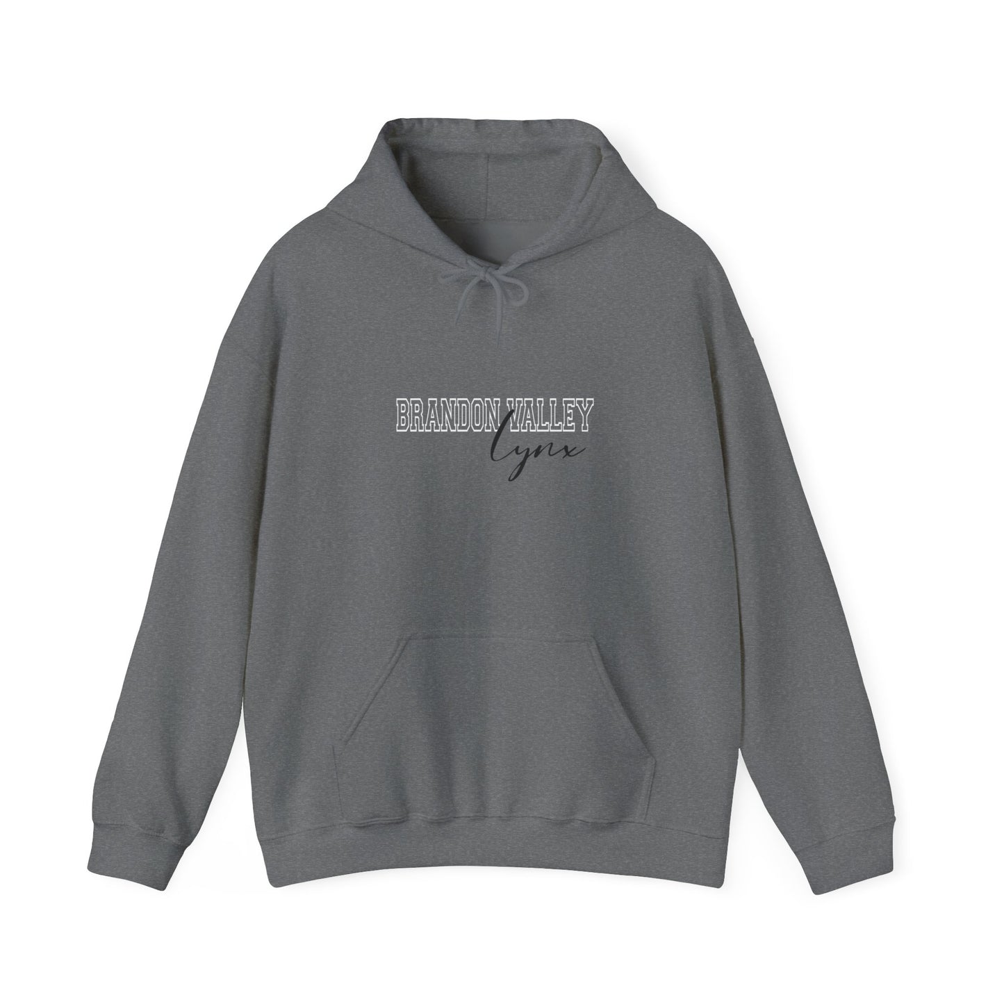 BV unisex Heavy Blend™ Hooded Sweatshirt