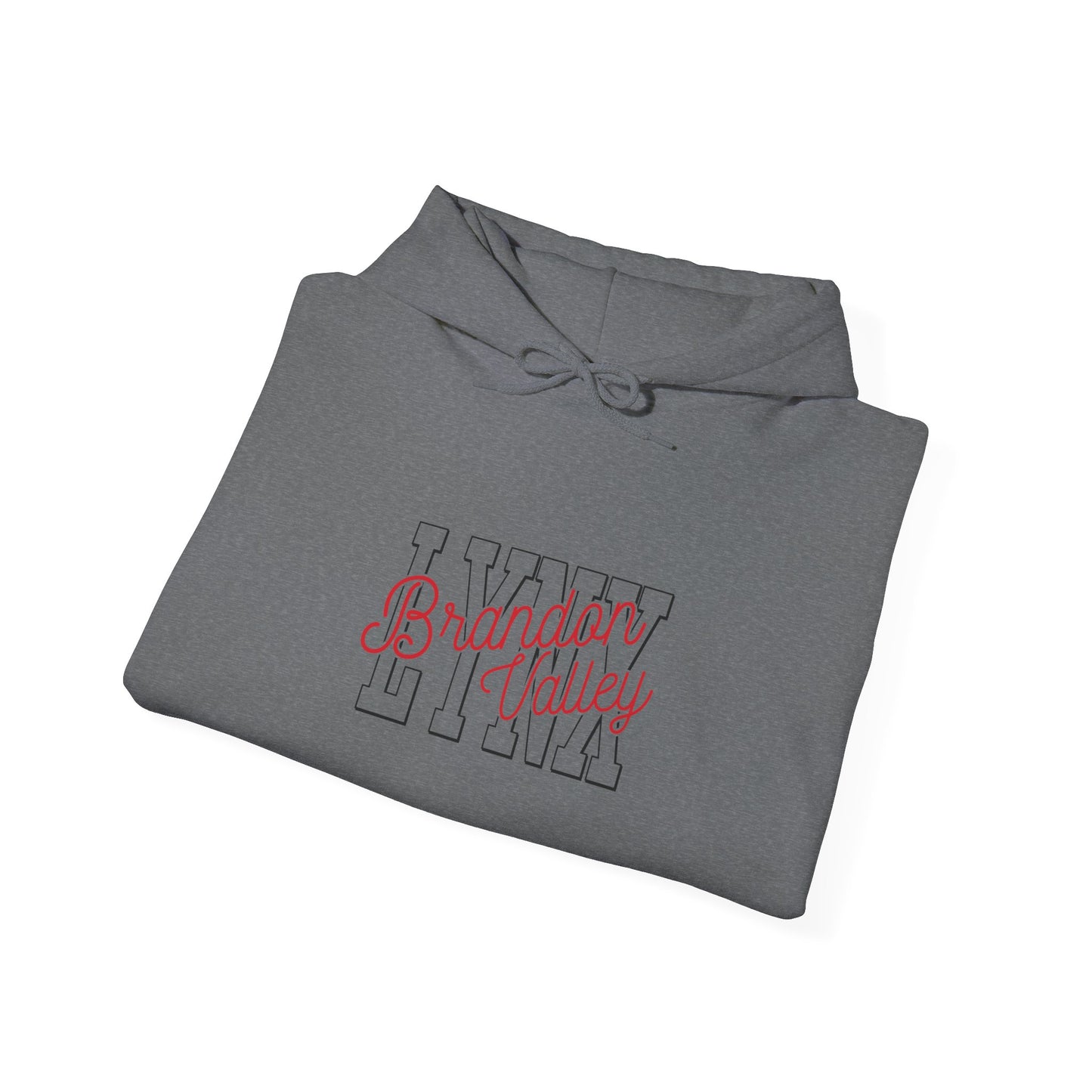 BV unisex Heavy Blend™ Hooded Sweatshirt
